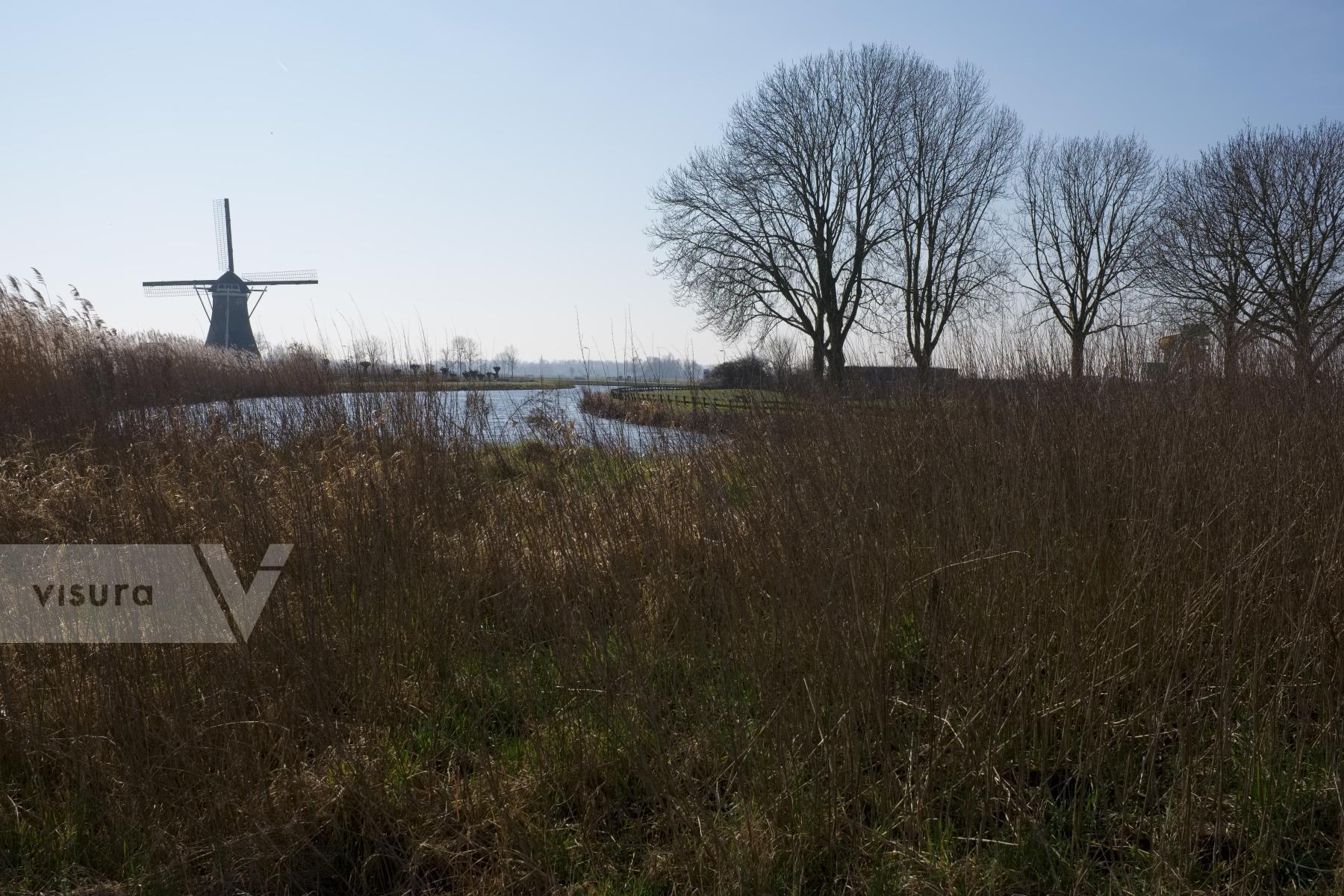 Purchase Windmill by Ellen Kok
