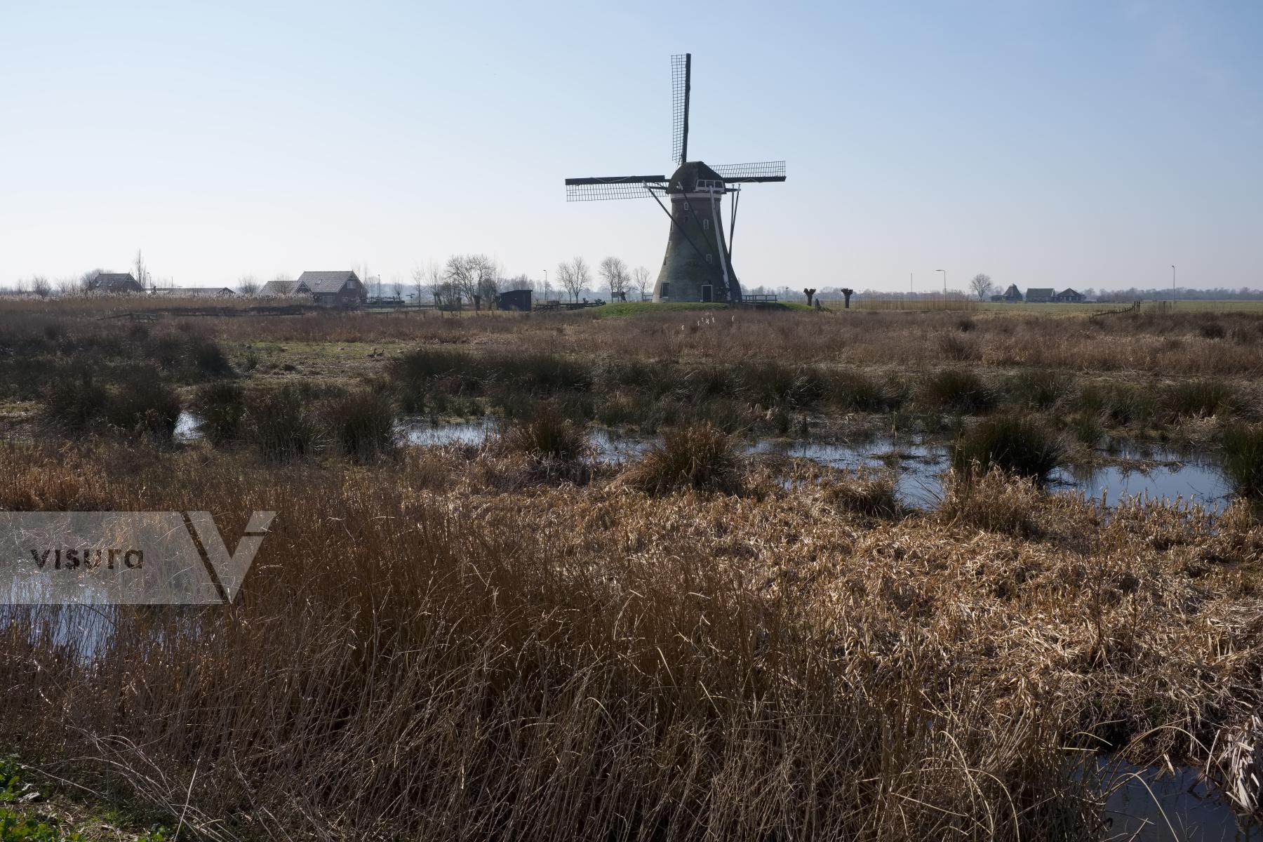 Purchase Windmill by Ellen Kok