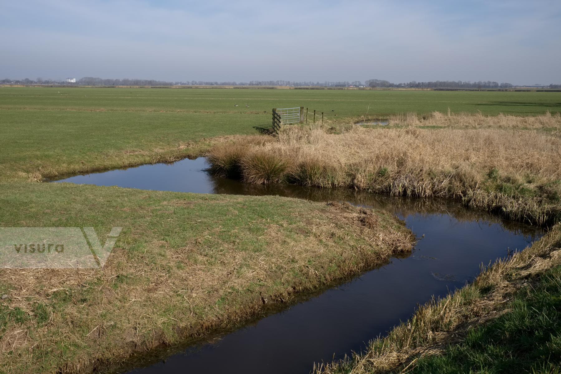 Purchase Dutch Polder Land by Ellen Kok