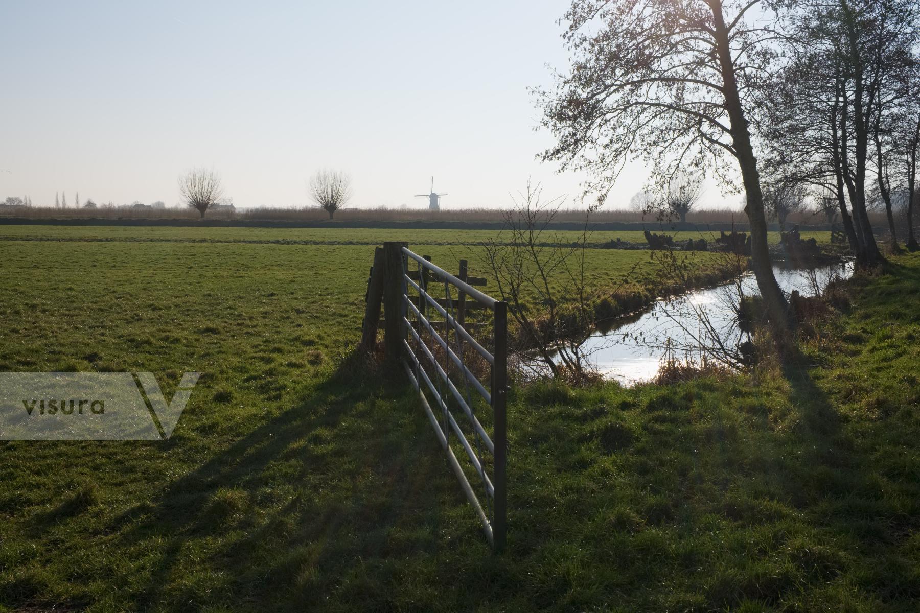 Purchase Dutch Polder Land by Ellen Kok