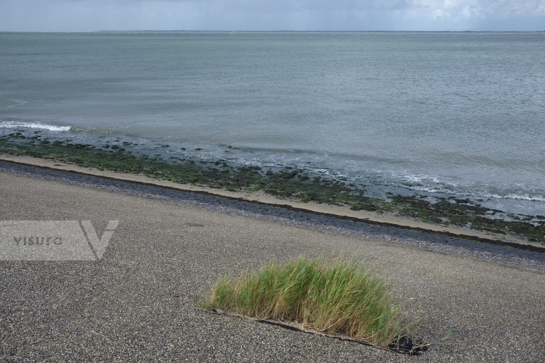 Purchase Sea Wall in the Netherlands by Ellen Kok
