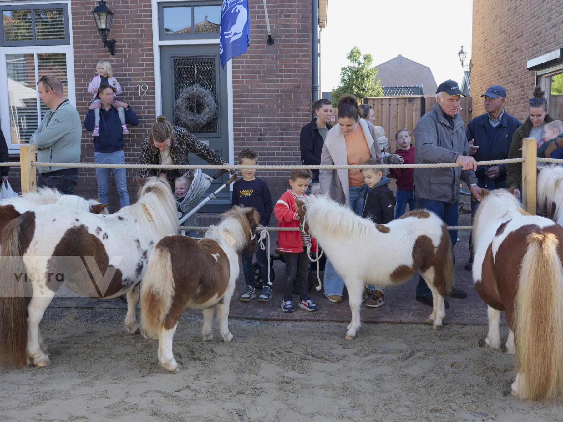 Purchase Horse Market by Ellen Kok