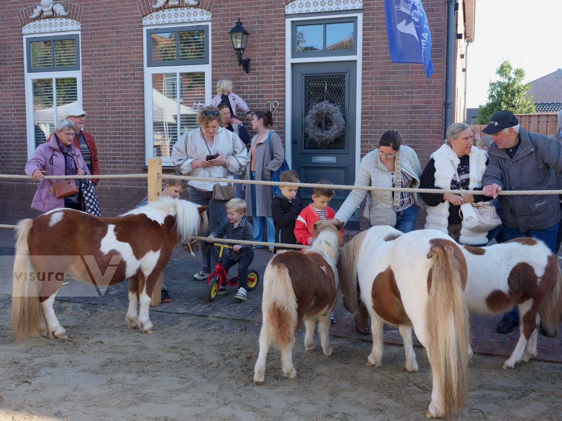Purchase Horse Market by Ellen Kok