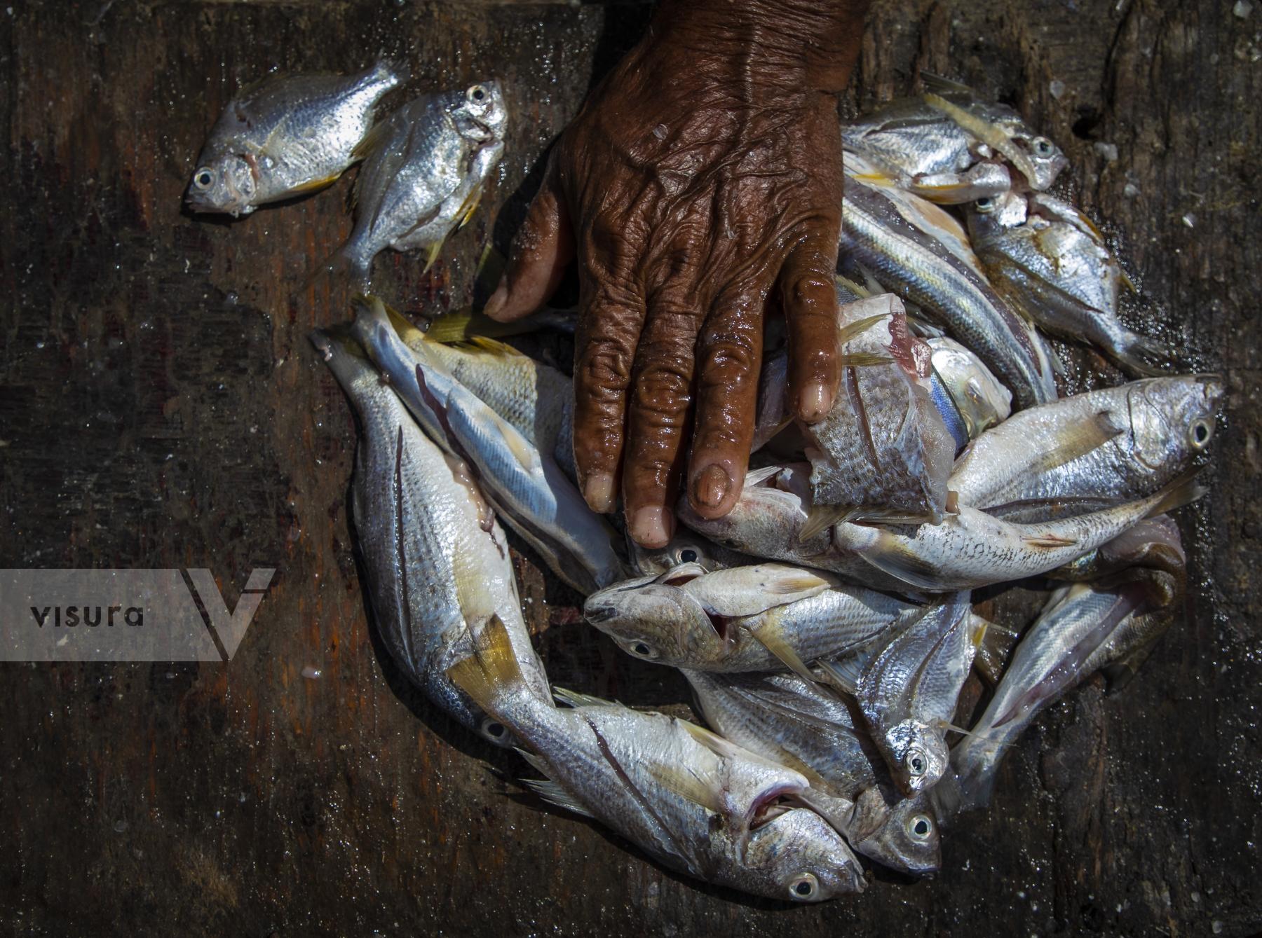 Purchase The forgotten fishermen by juan tapias