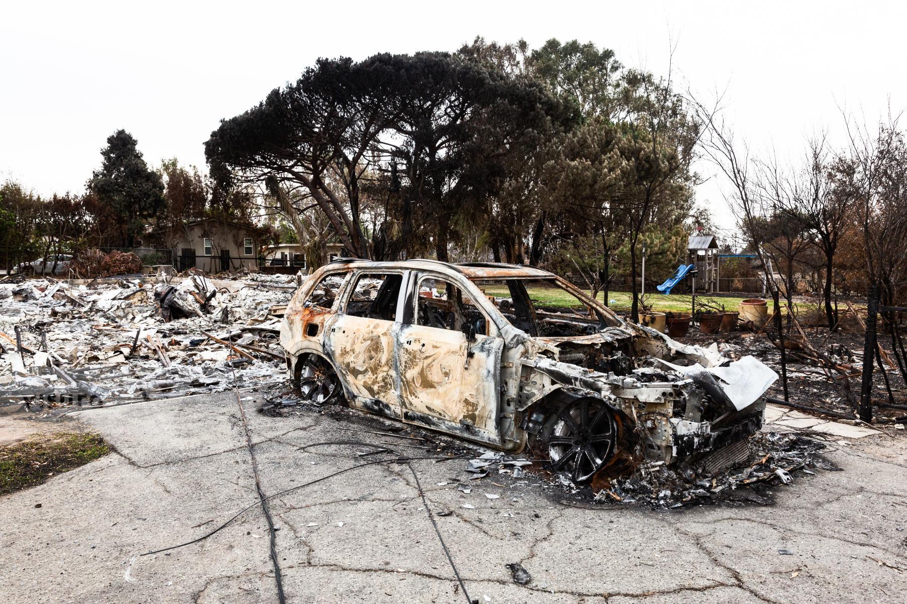 Purchase Woolsey Fire Aftermath by Molly Peters