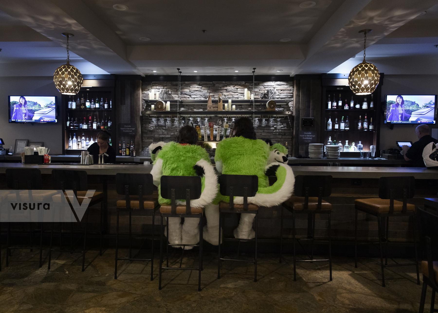 Purchase Two Furries Walk into a Bar... by Katie Linsky Shaw