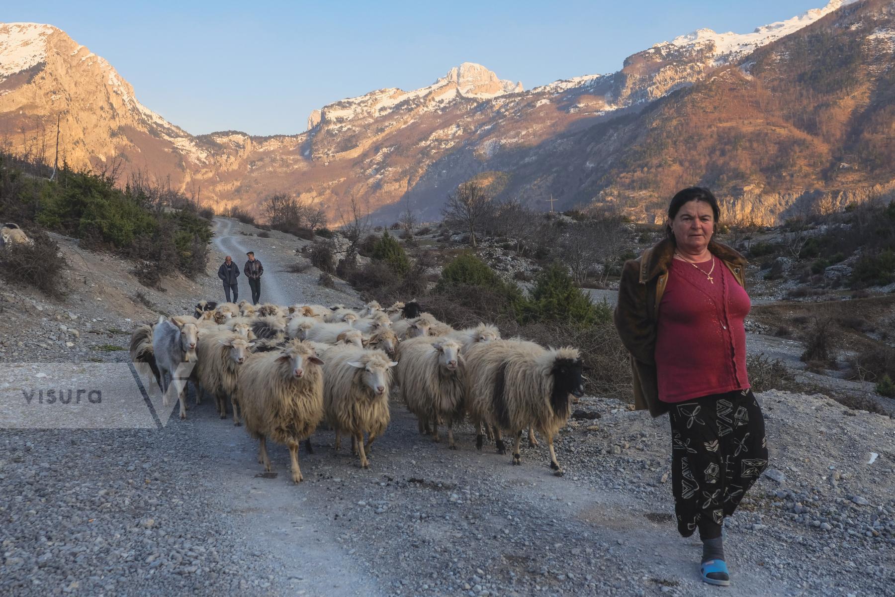 Purchase Shepherdess, Northern Albania by Nick St.Oegger