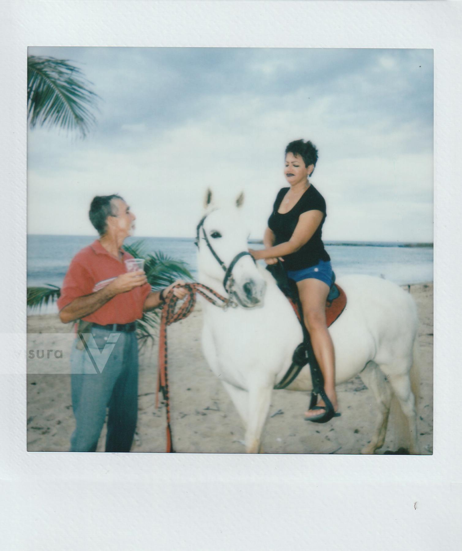 Purchase Horse tour by Gabriella N. Báez