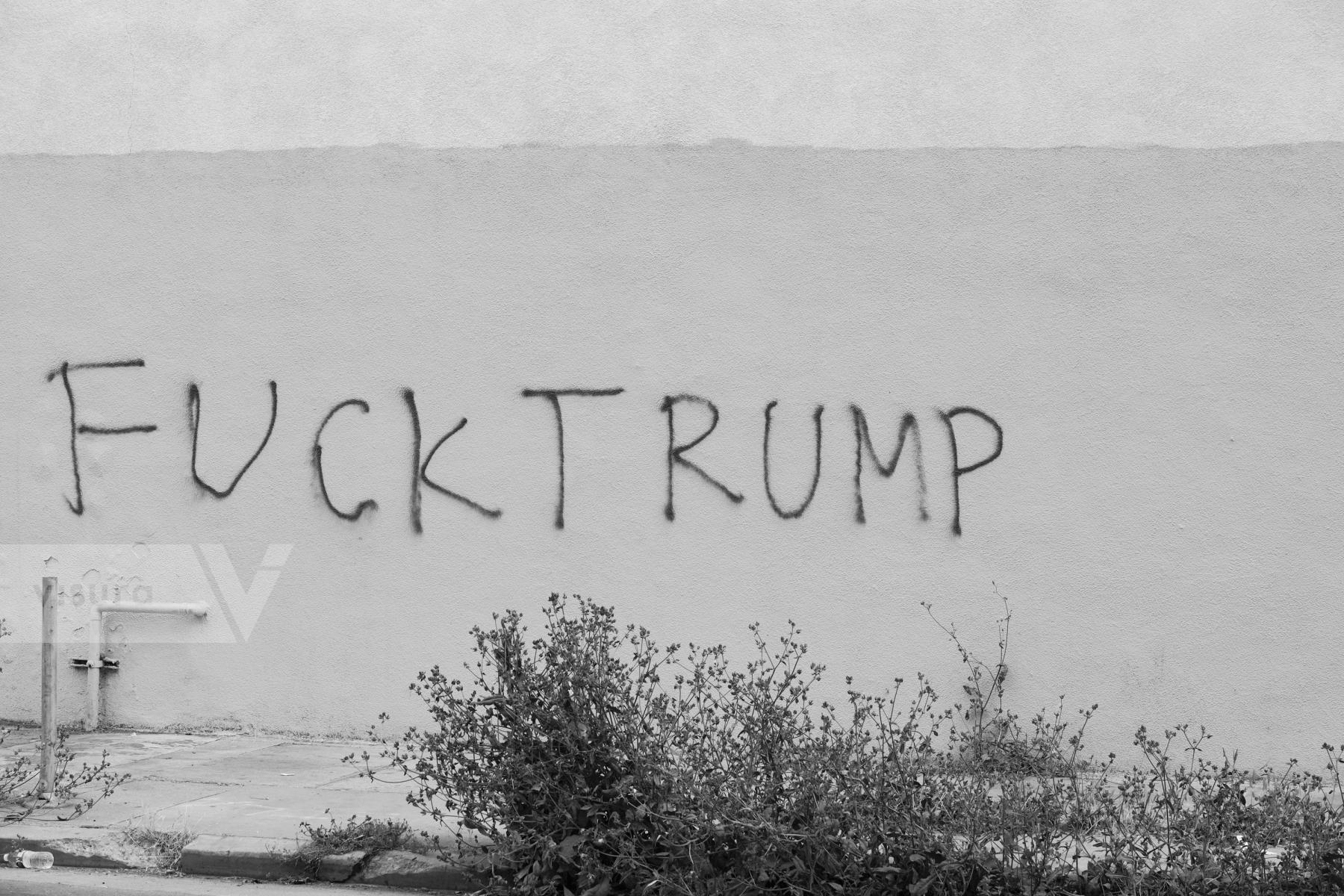 Purchase Fuck Trump by Hannah Kozak