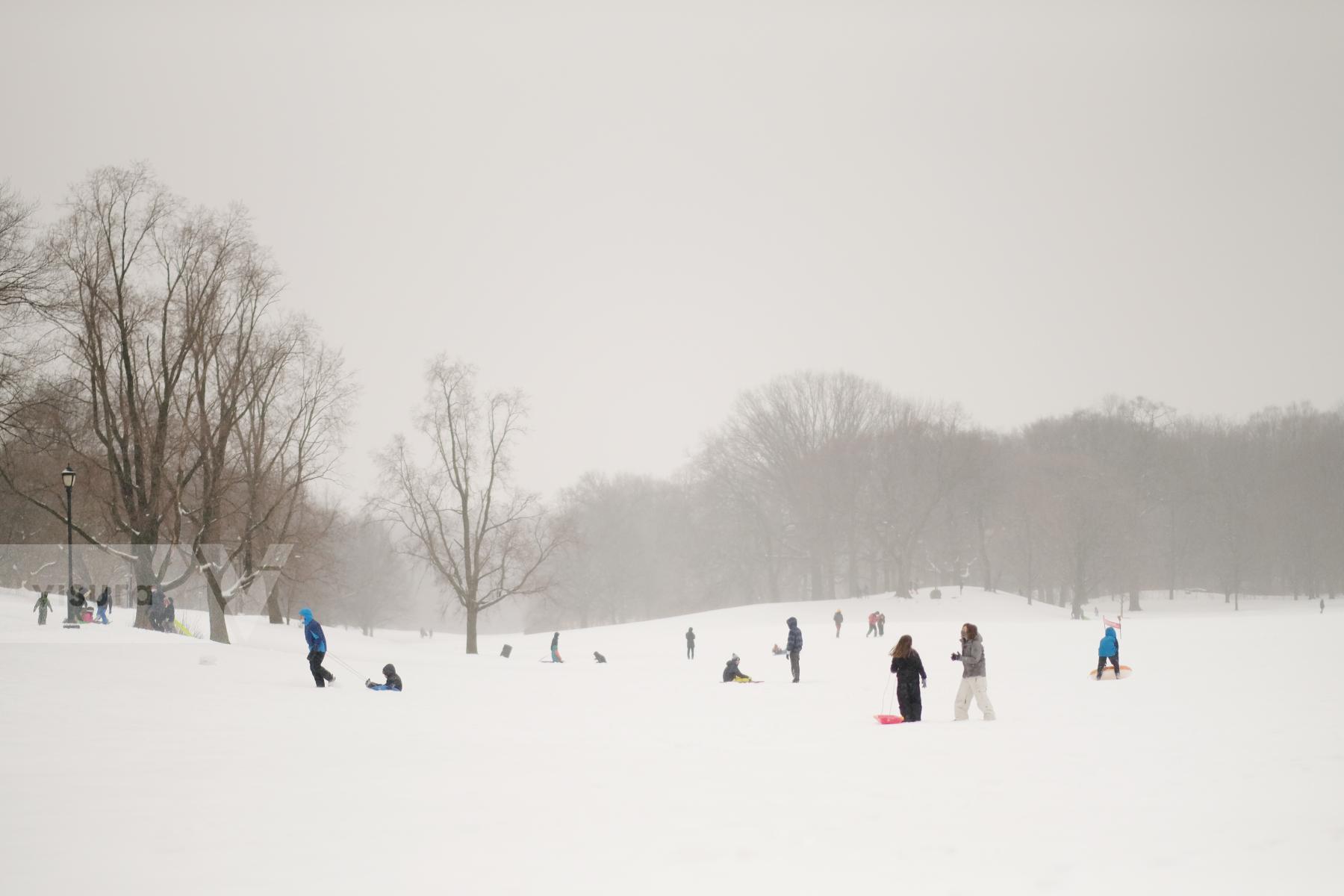 Purchase Prospect Park by Rengim Mutevellioglu