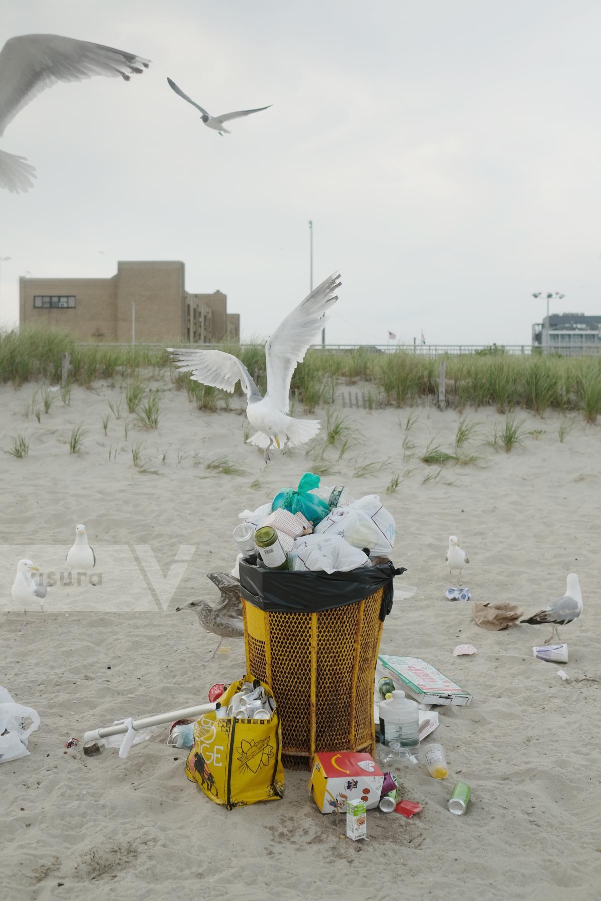 Purchase Rockaways, 2021 by Rengim Mutevellioglu