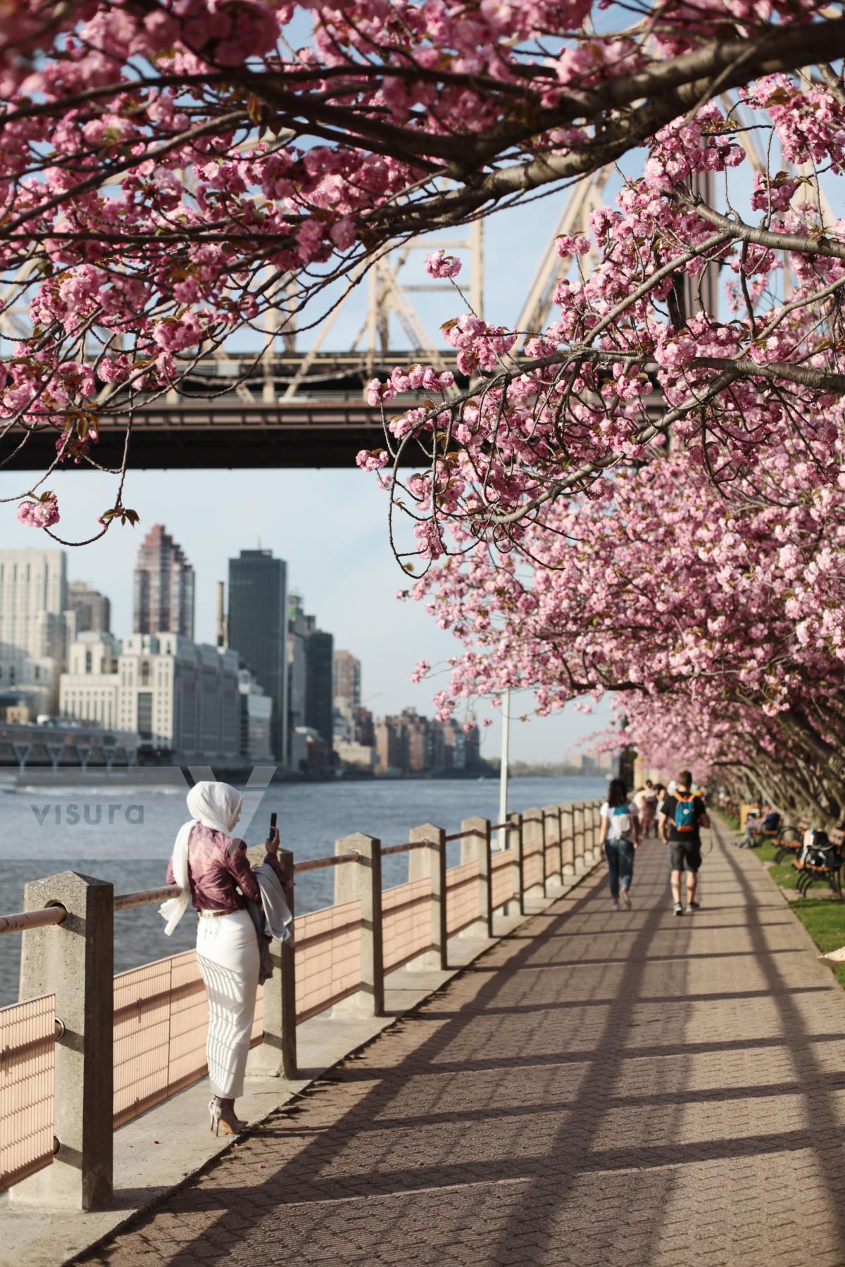 Purchase Roosevelt Island, 2018 by Rengim Mutevellioglu