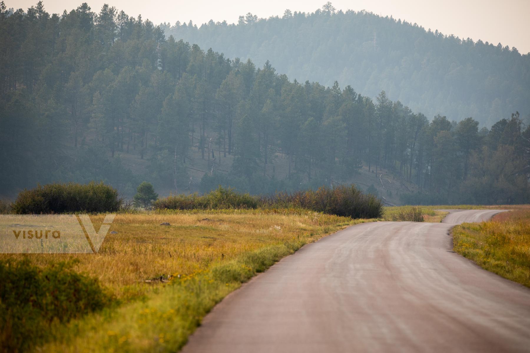 Purchase Driving the Wildlife Loop in Custer State Park by Katie Linsky Shaw