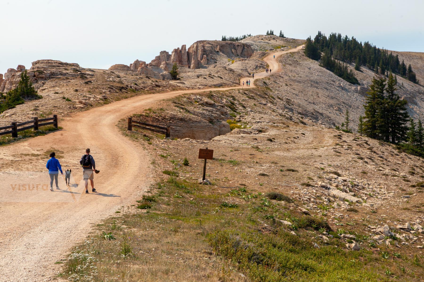 Purchase Hiking to the Medicine Wheel National Historic Landmark by Katie Linsky Shaw