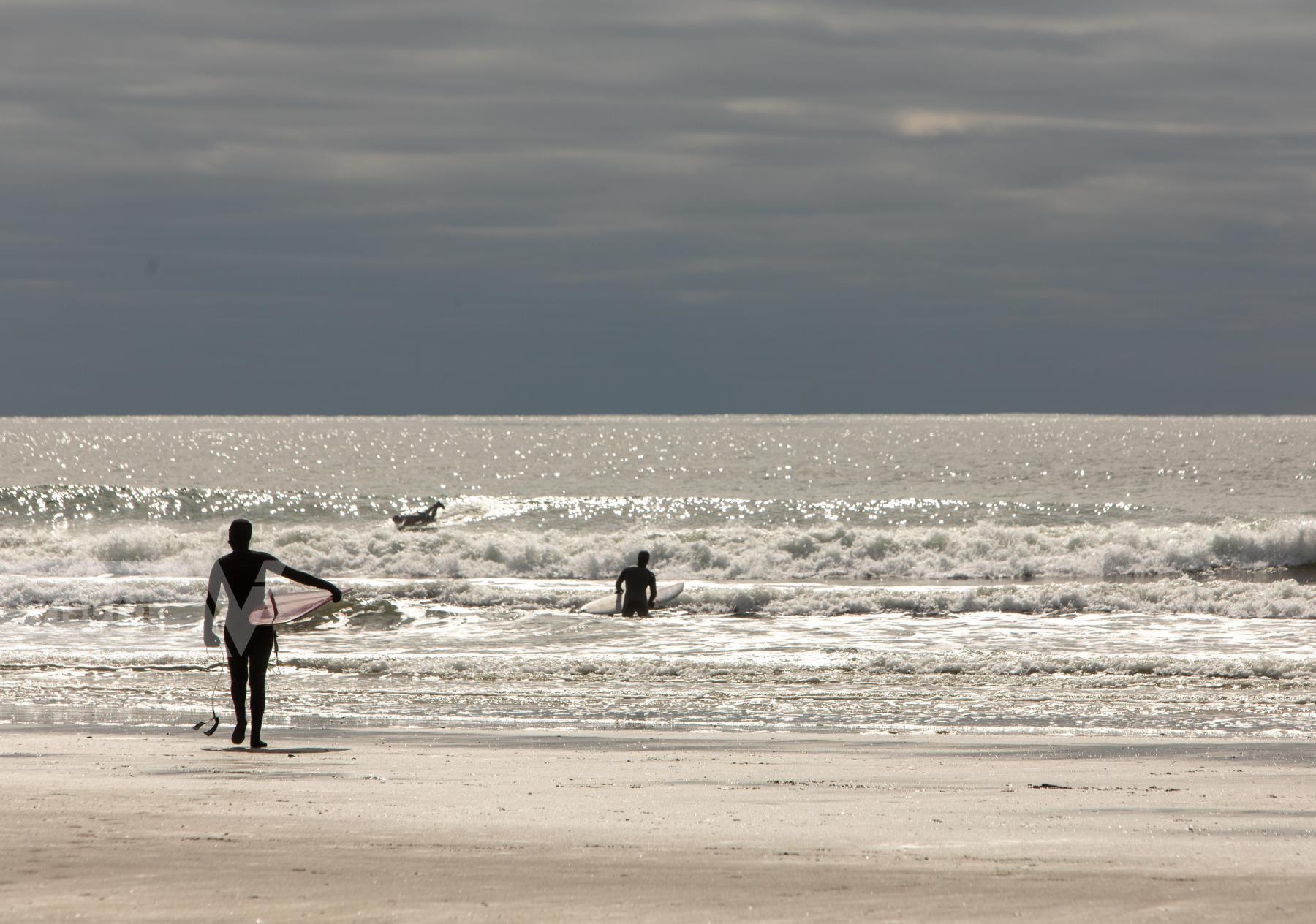 Purchase Surfing in Maine by Katie Linsky Shaw