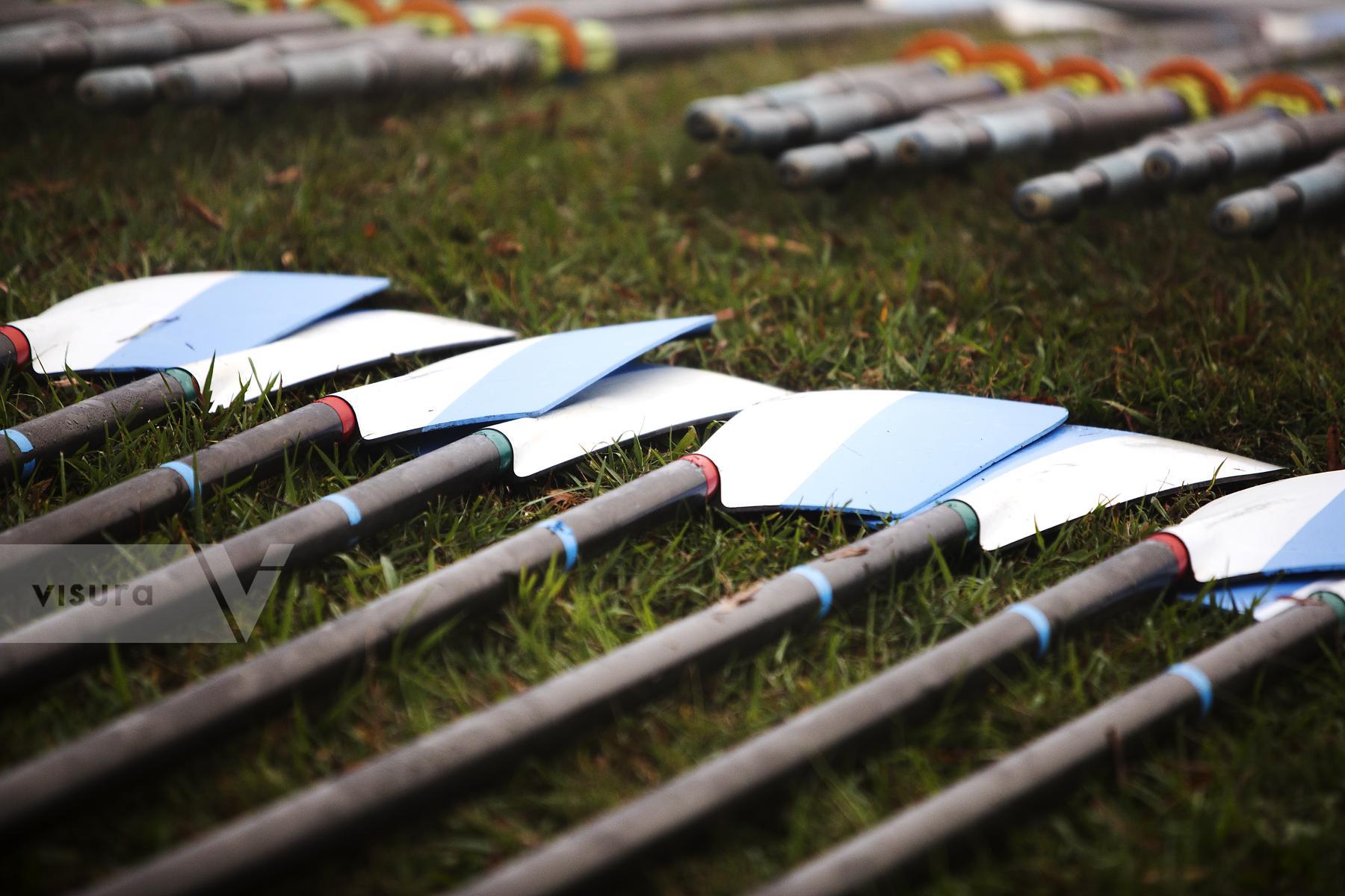 Purchase Rowing Oars in a Row by Katie Linsky Shaw