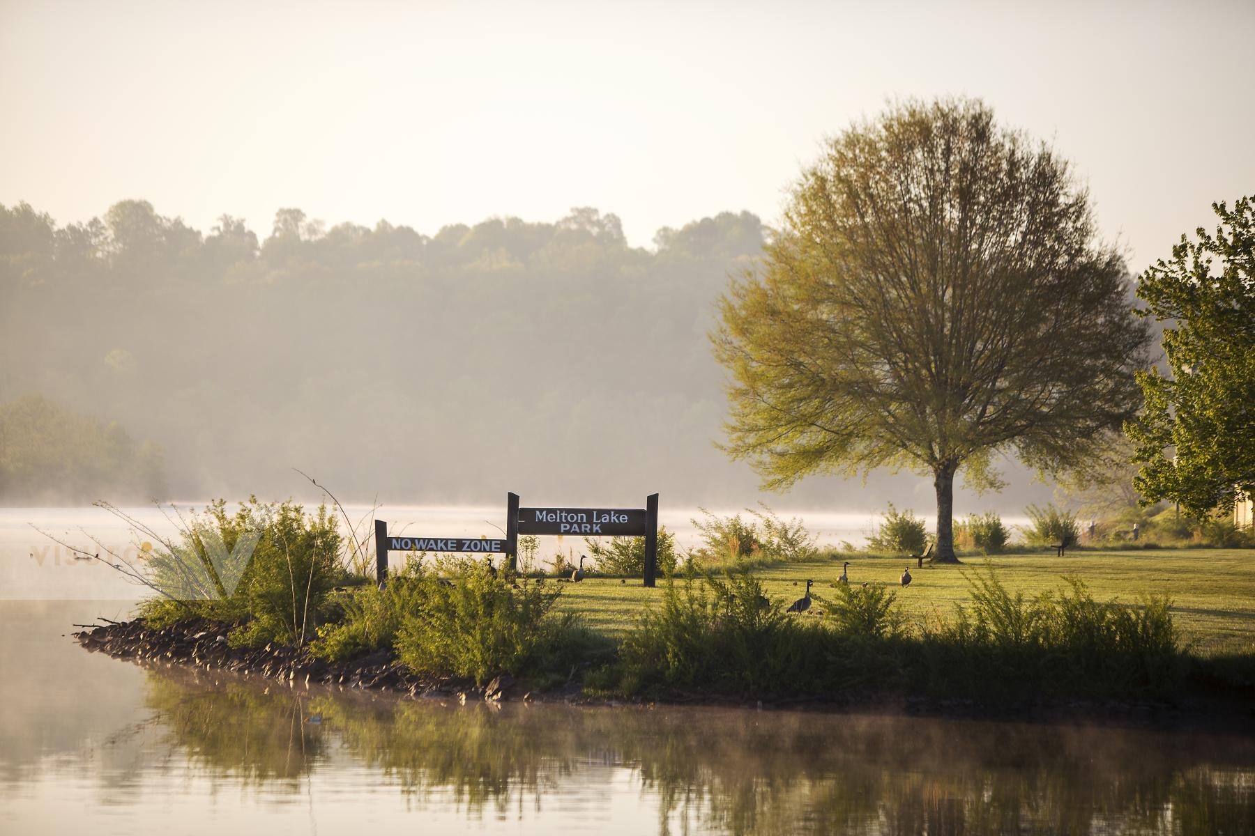 Purchase Melton Lake in the Morning by Katie Linsky Shaw