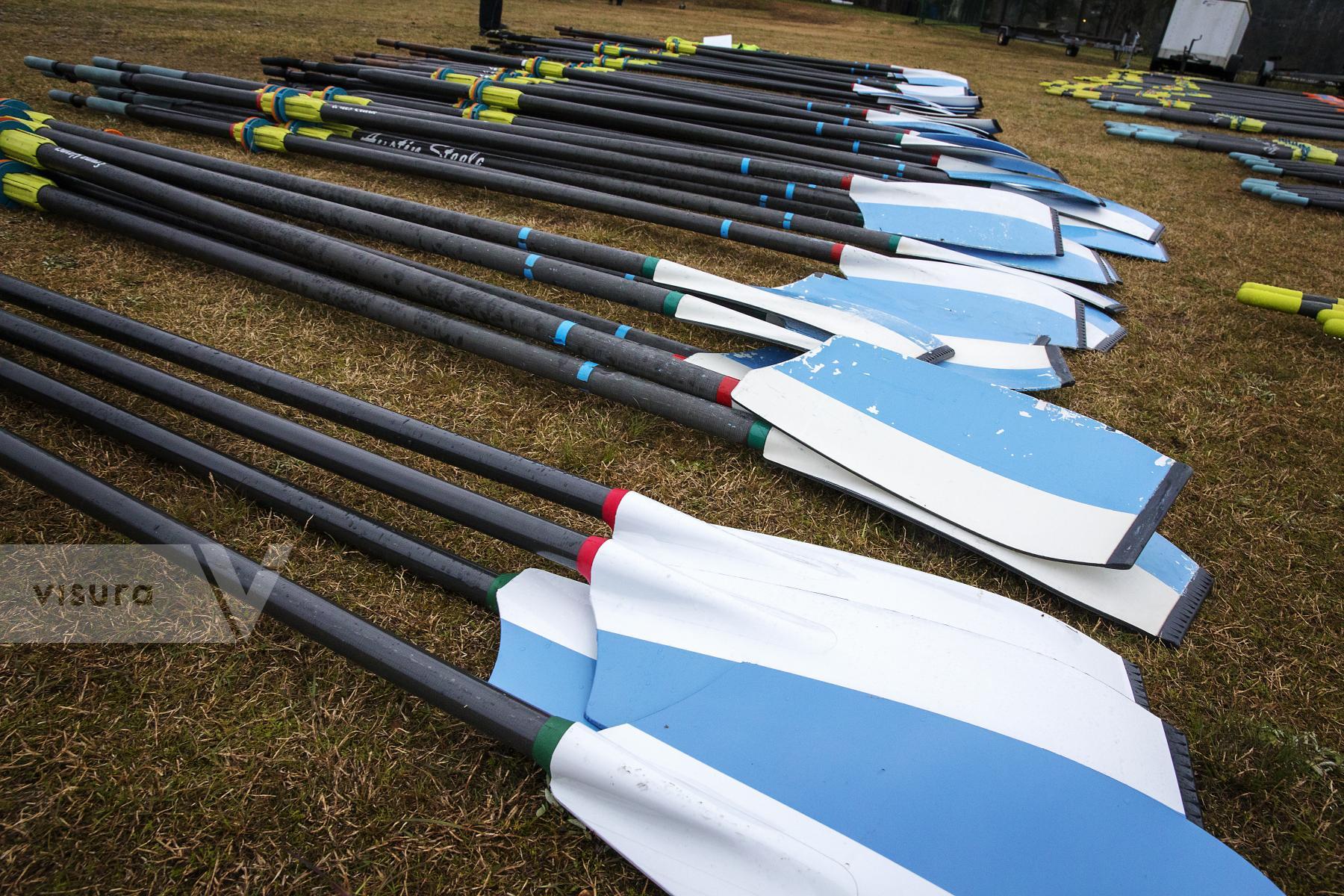 Purchase Oars Ready to Row by Katie Linsky Shaw