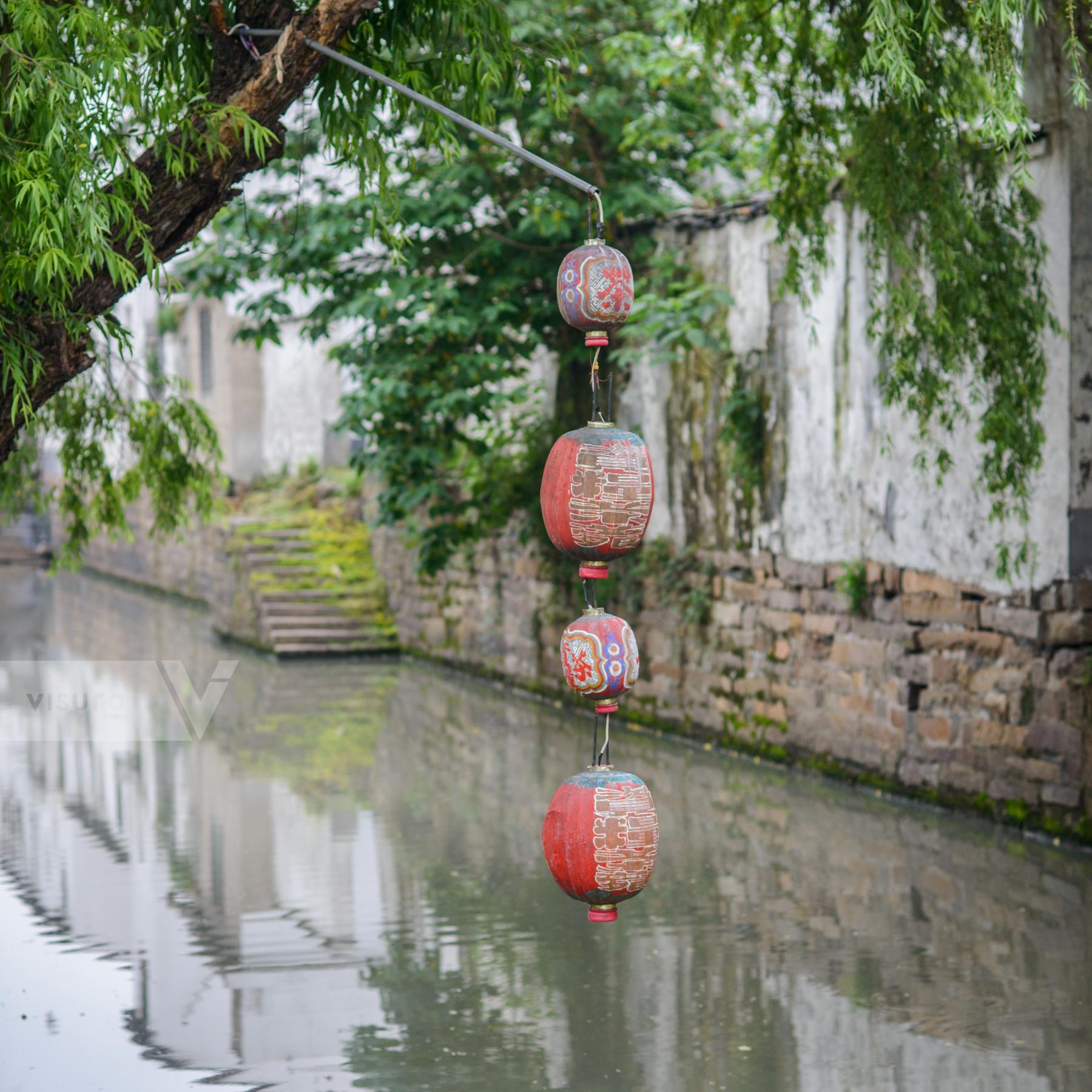 Purchase Chinese Lanterns by Carla Cioffi