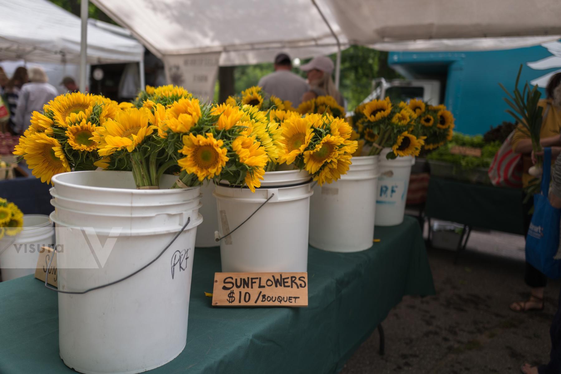 Purchase Farmers Market Sunflowers by Susan Rosenberg Jones