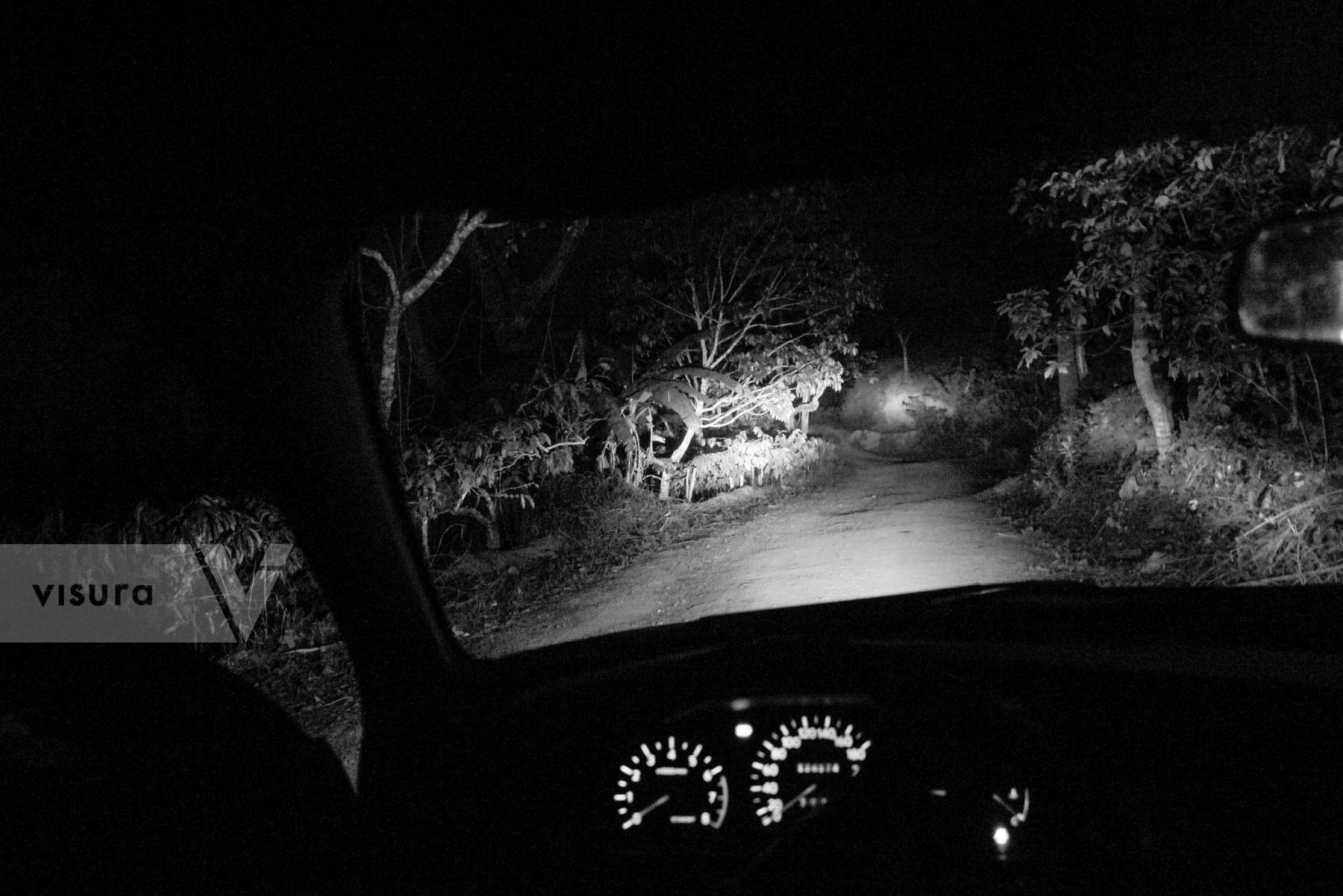 Purchase Night Drive by Emily Schiffer