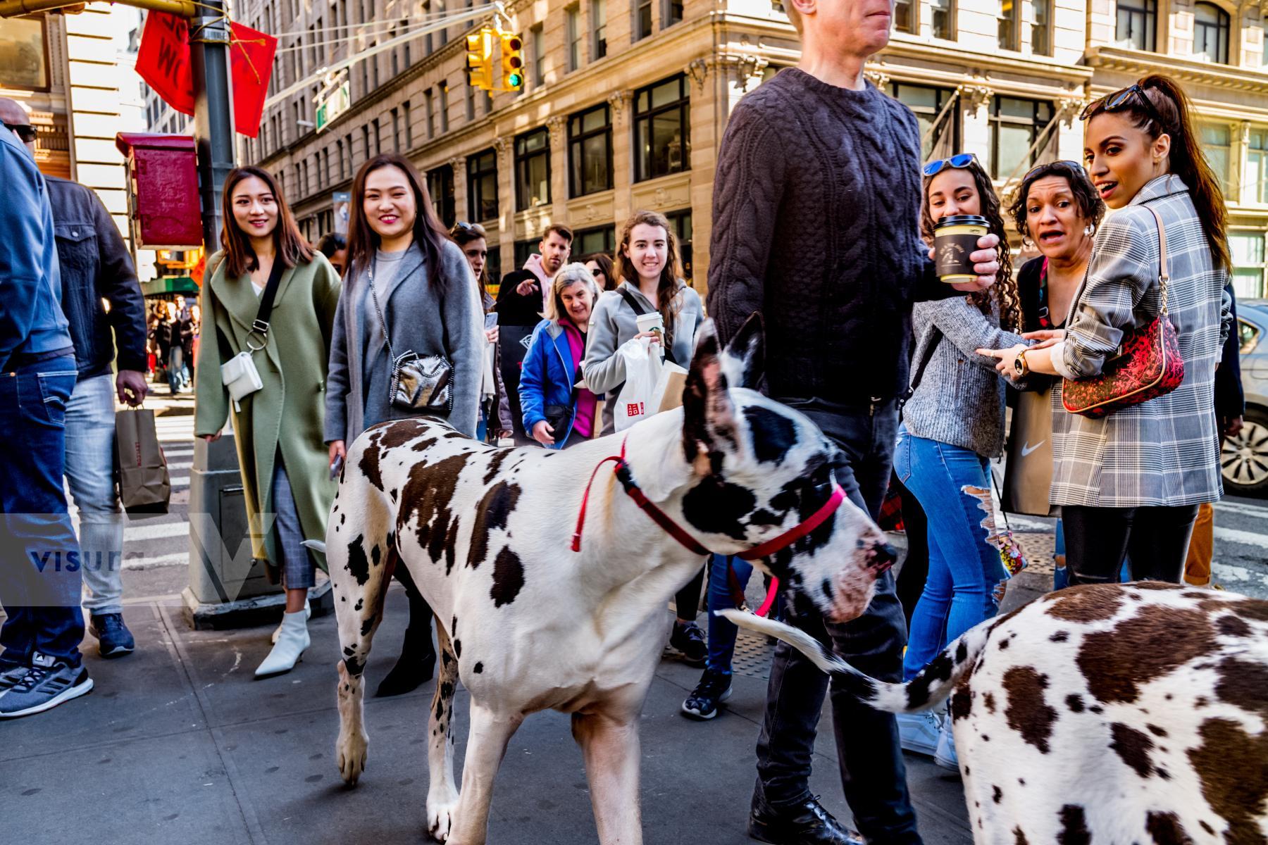 Purchase Streets of SoHo NYC 180331856 by Kenneth Nelson