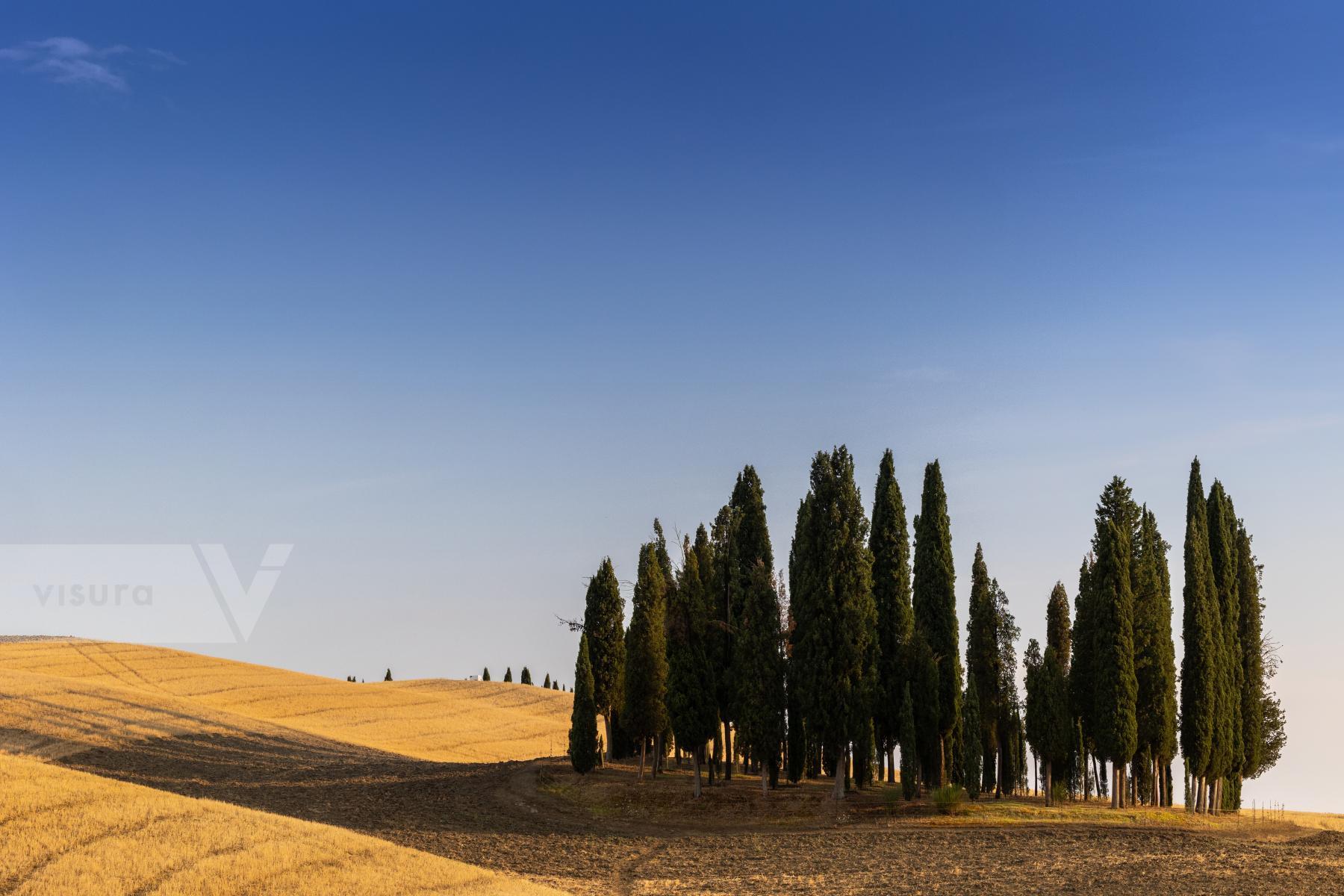 Purchase Tuscan Landscape by Nicola Ughi