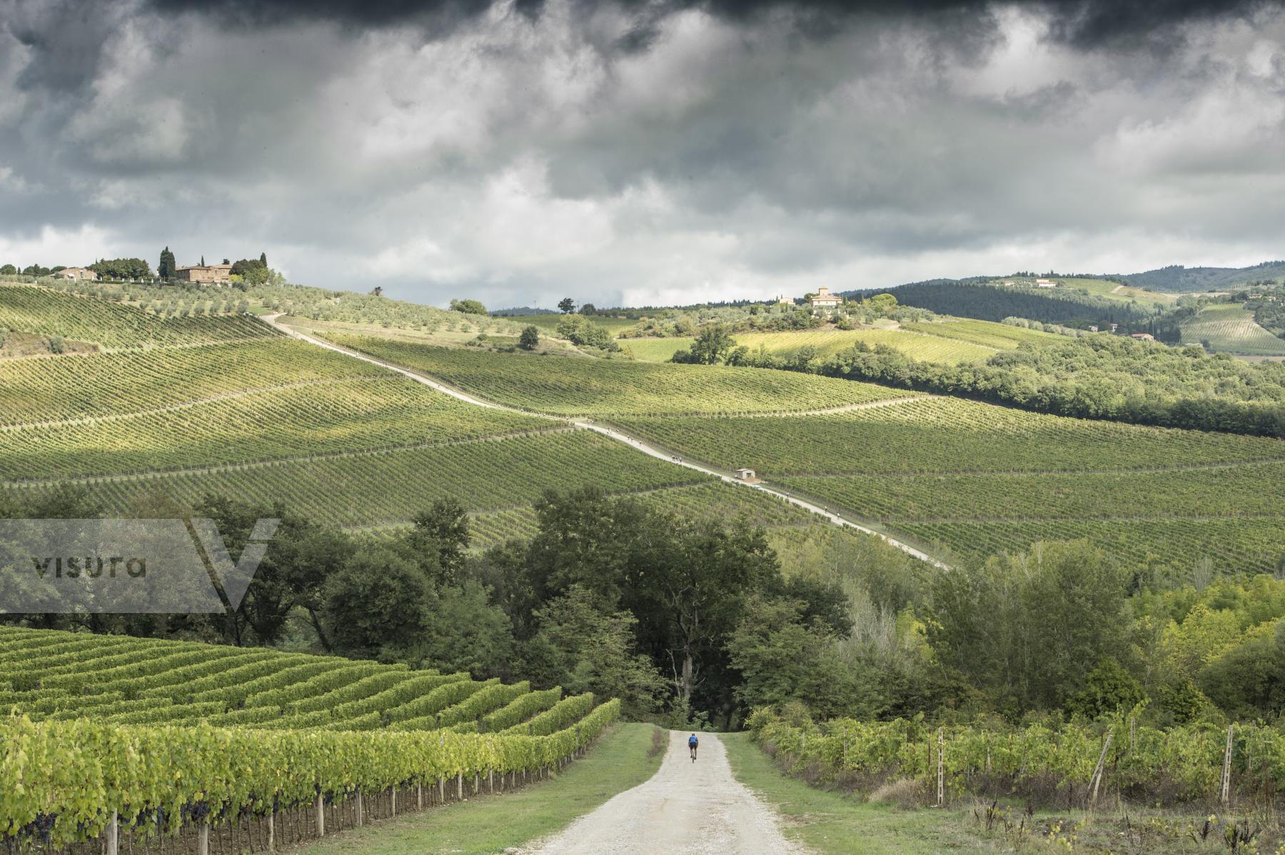 Purchase Chiantishire hills and vineyards by Nicola Ughi