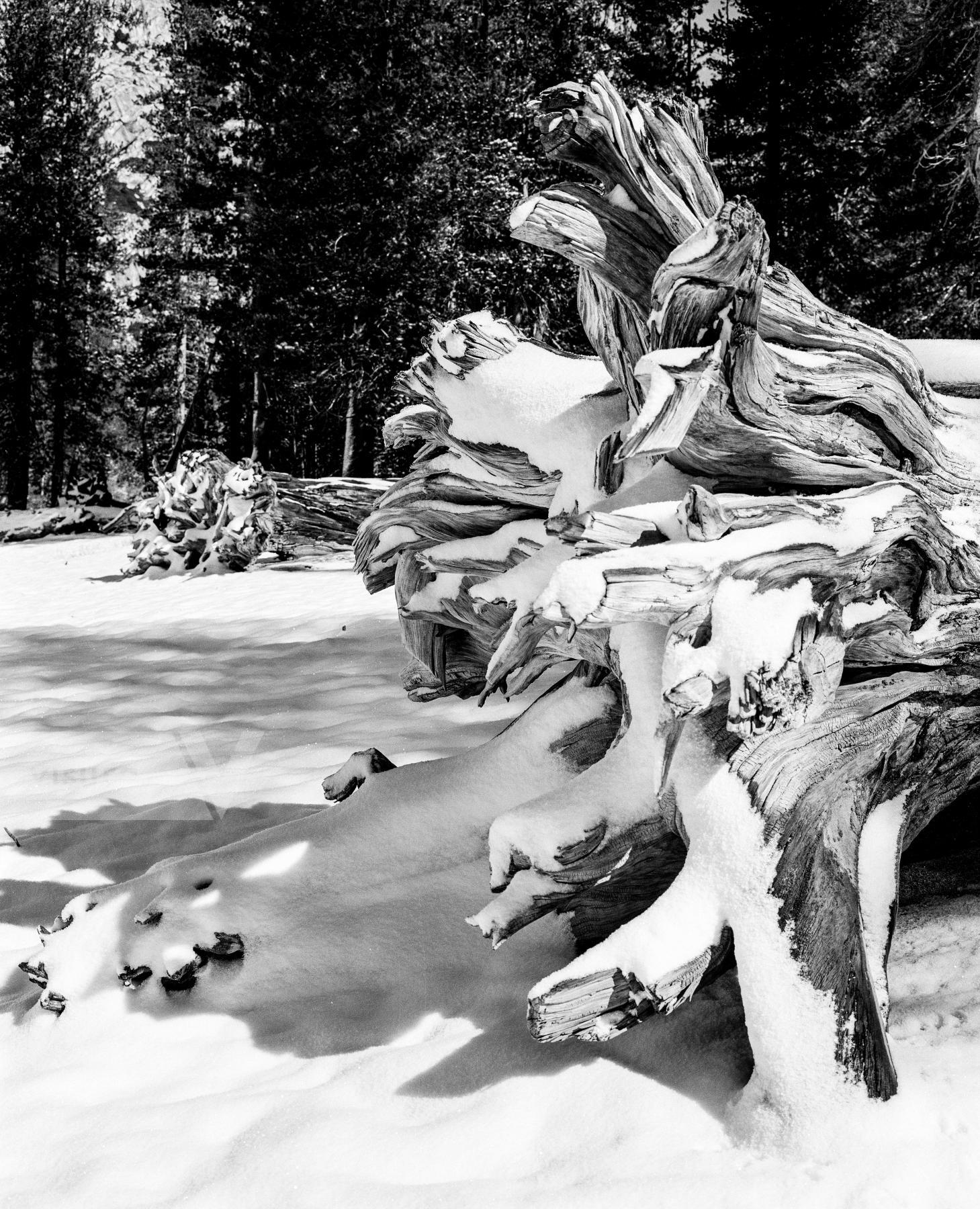 Purchase Landscapes 040920601 by Kenneth Nelson
