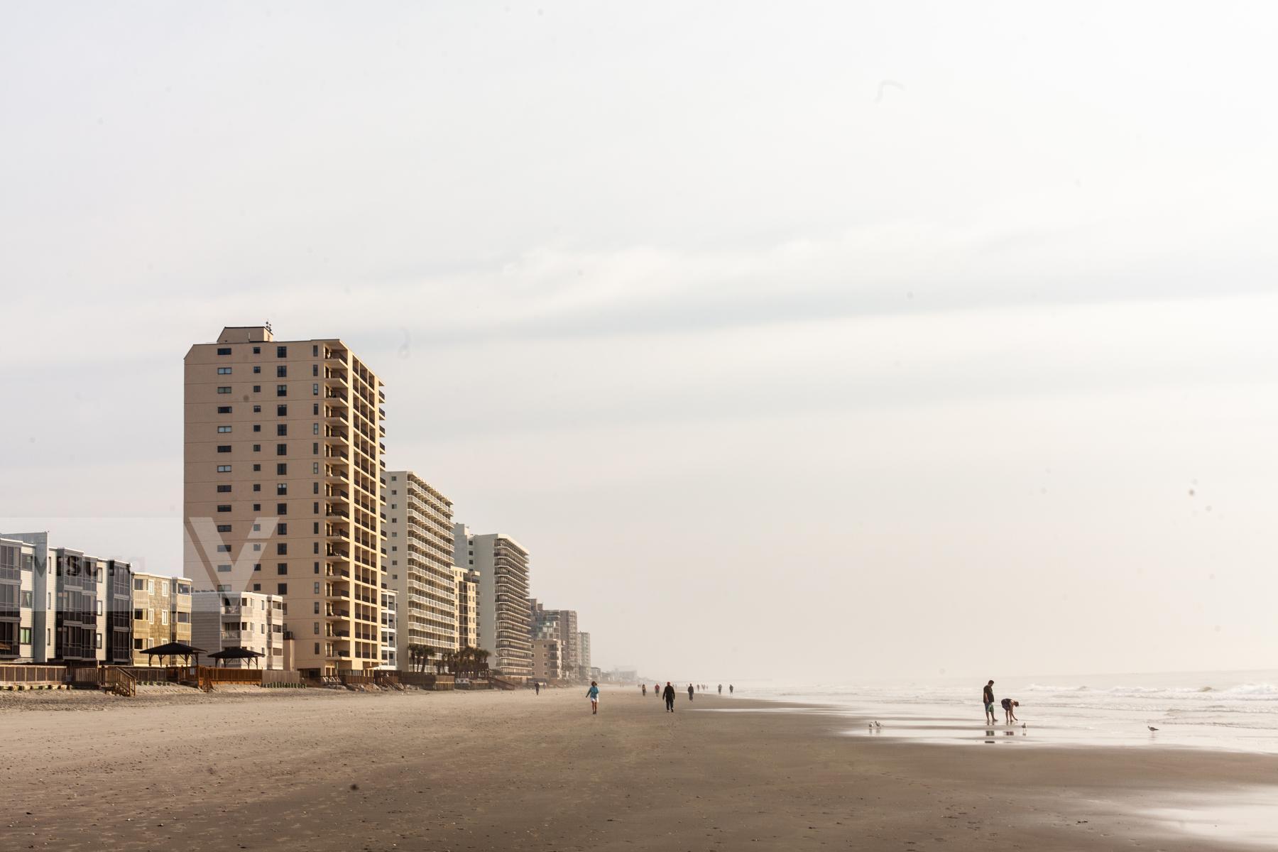 Purchase Morning Beach Walkers in South Carolina by Katie Linsky Shaw