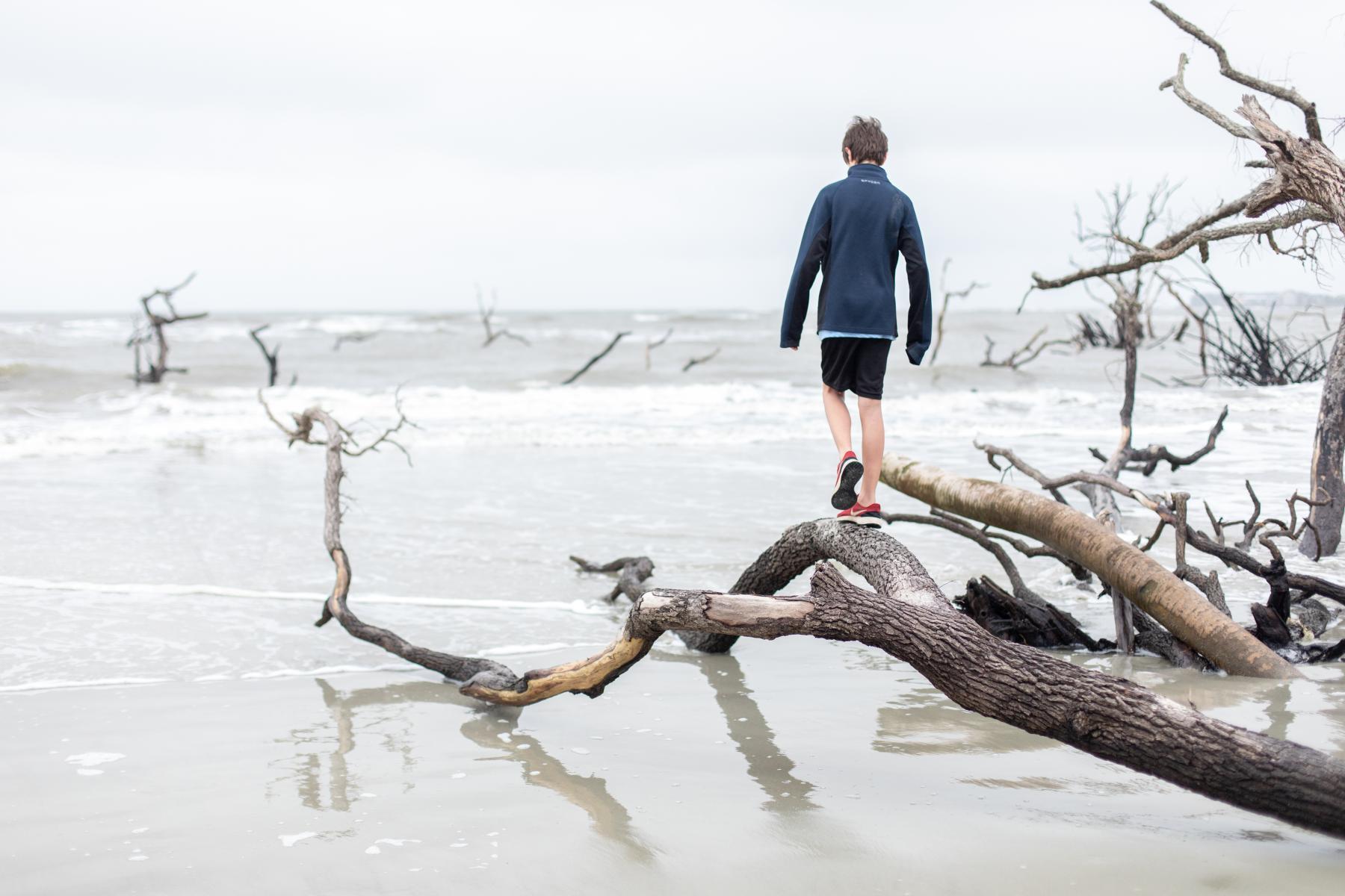 Purchase Boneyard Beach on Hunting Island, South Carolina by Katie Linsky Shaw