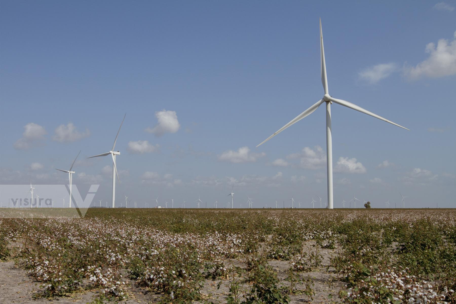 Purchase Coastal South Texas Wind Turbines by Jaime R. Carrero