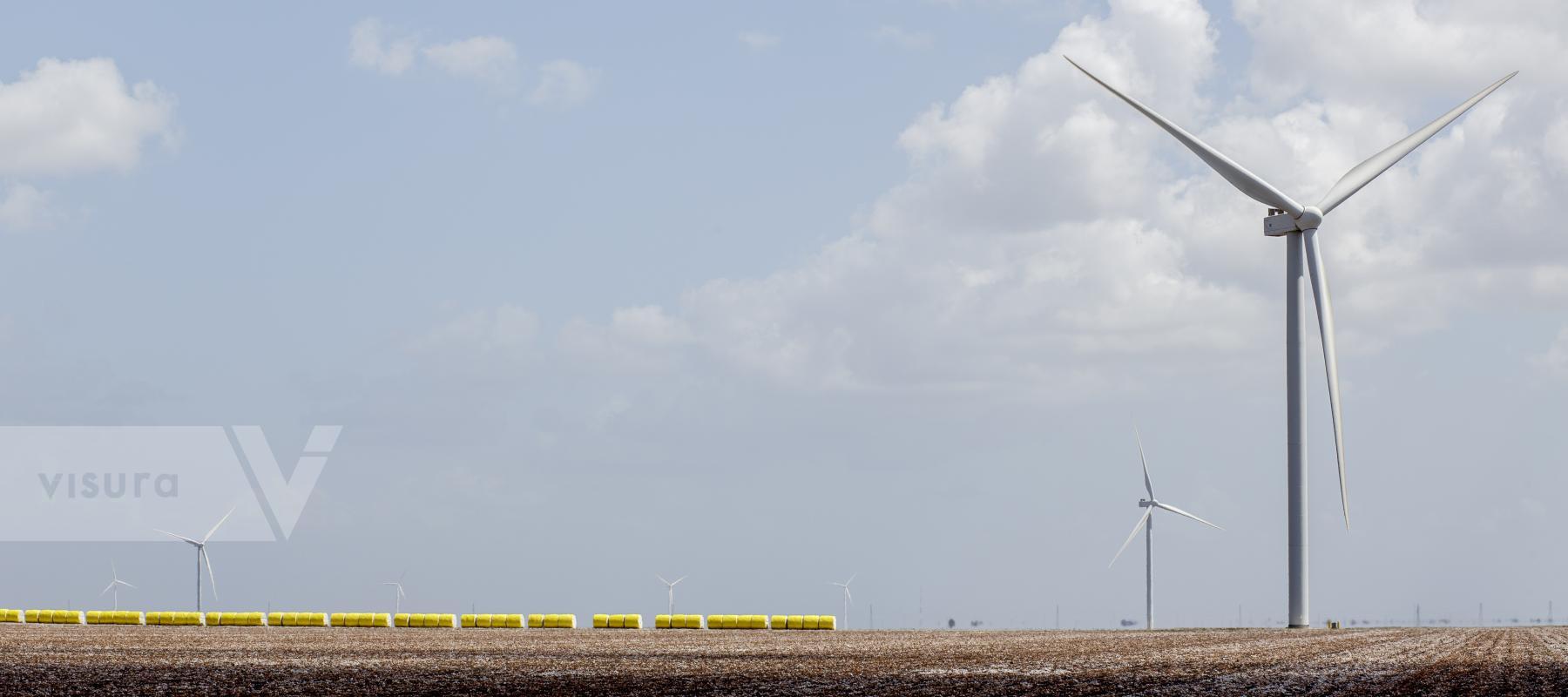 Purchase Coastal South Texas Wind Turbines by Jaime R. Carrero
