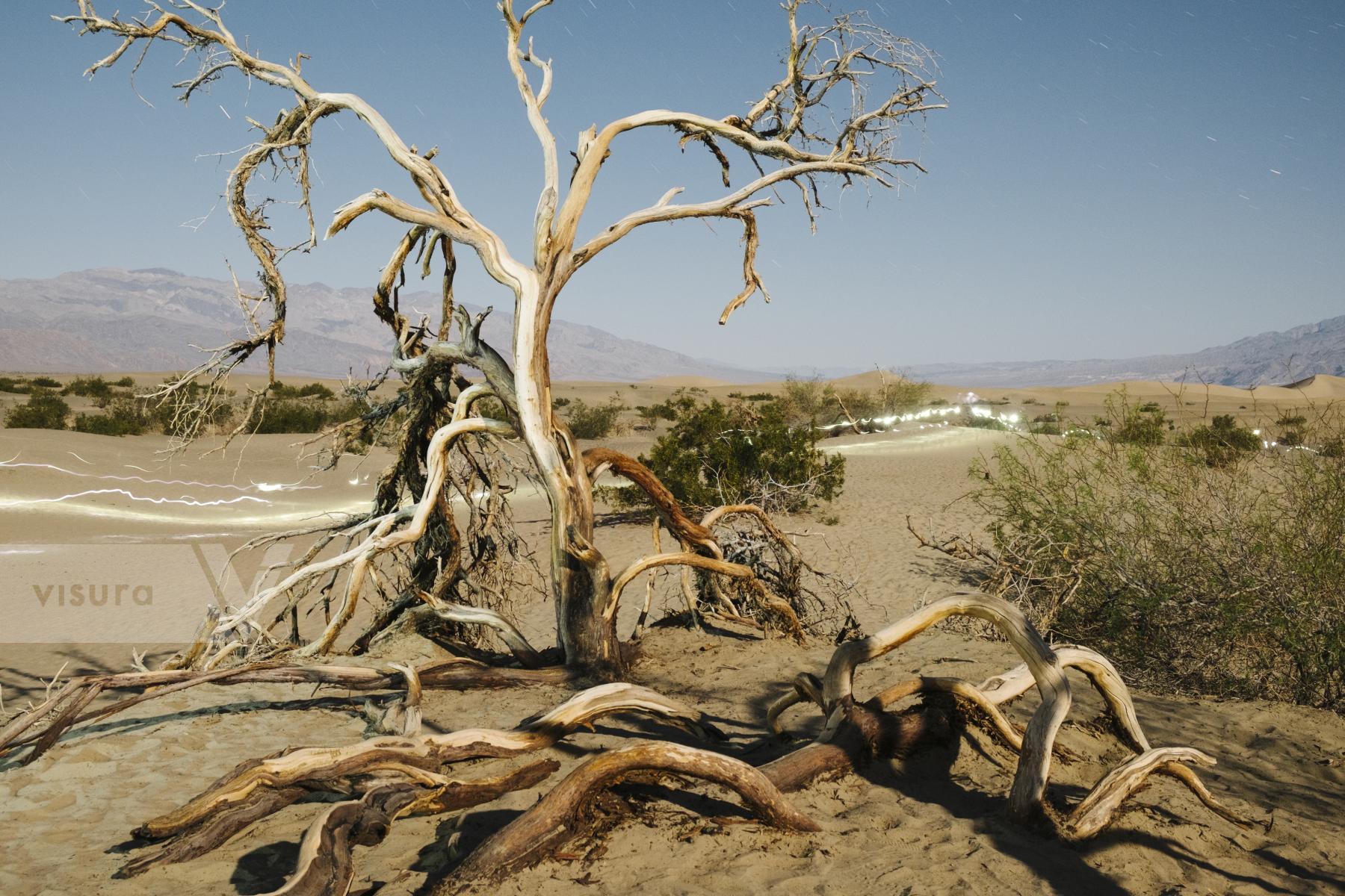 Purchase Death Valley at Night by Matt Propert