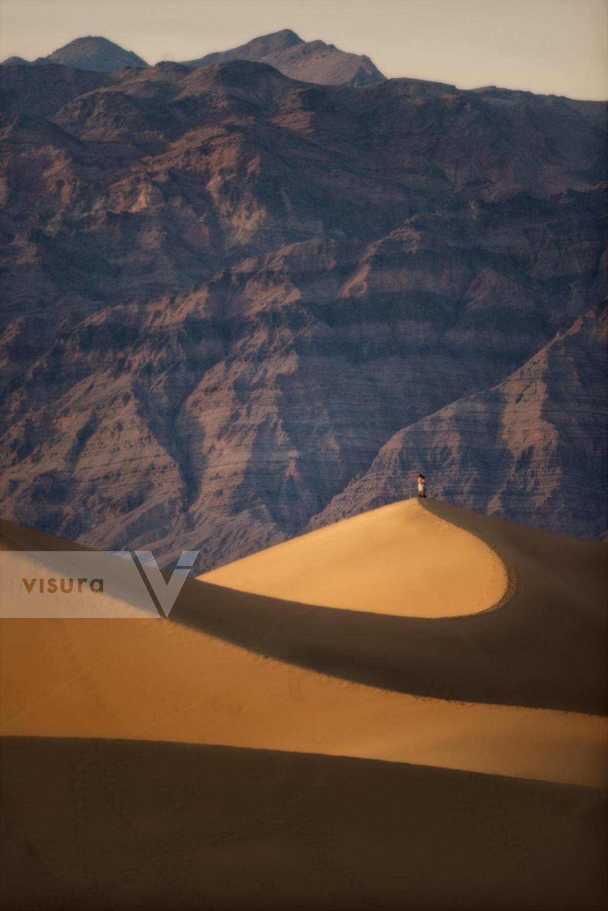 Purchase Timbisha Dunes by Rakesh Malik