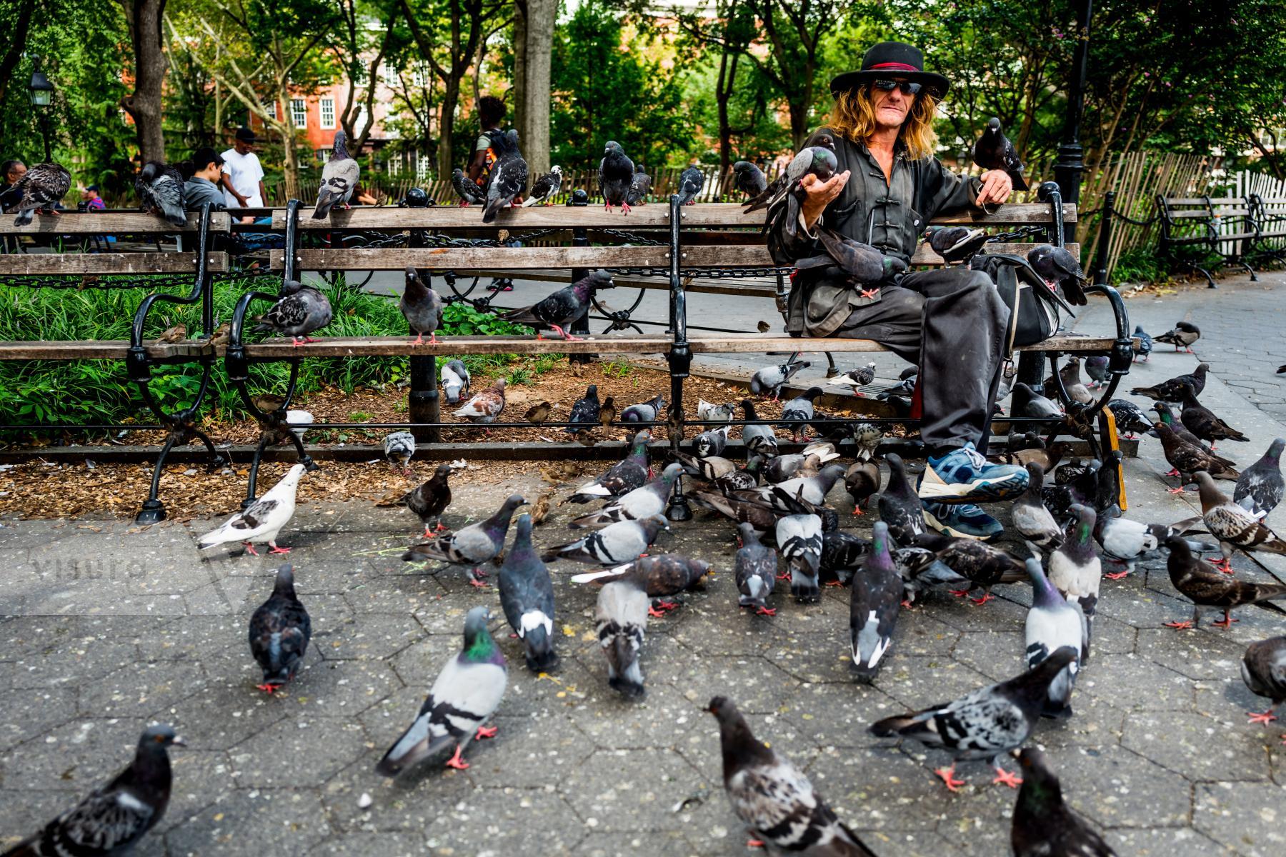 Purchase Larry, The Pigeon Man 150823276 by Kenneth Nelson