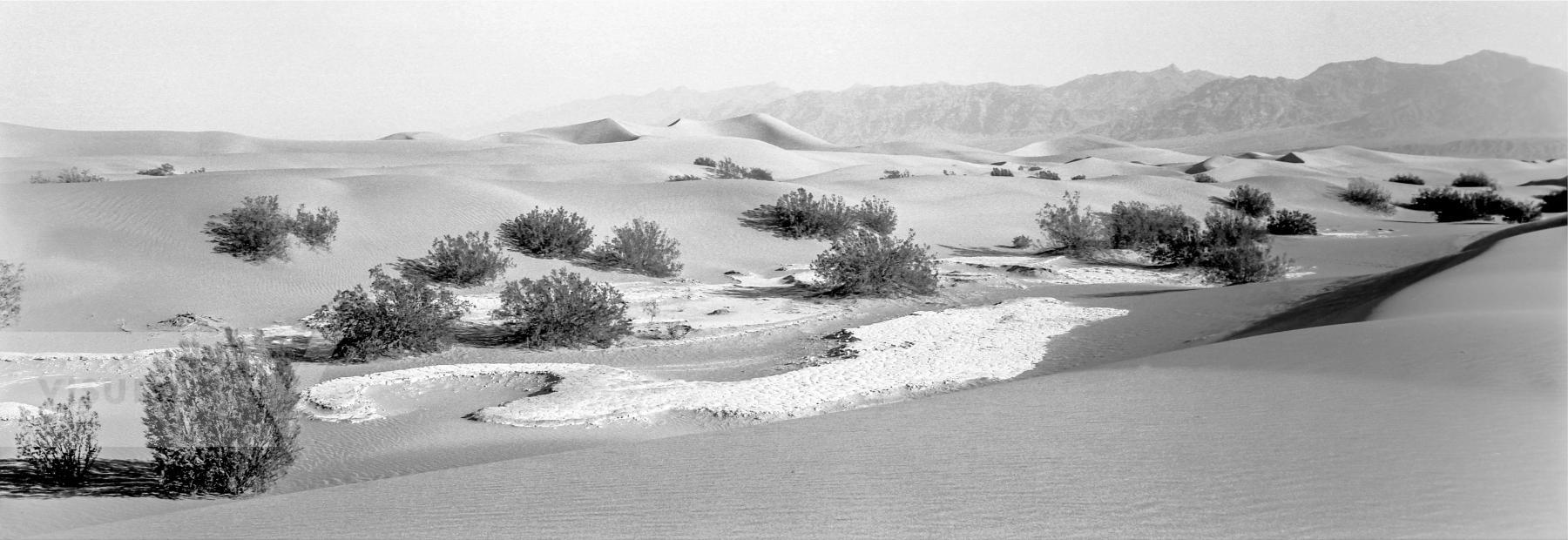 Purchase Landscapes 040919309 by Kenneth Nelson
