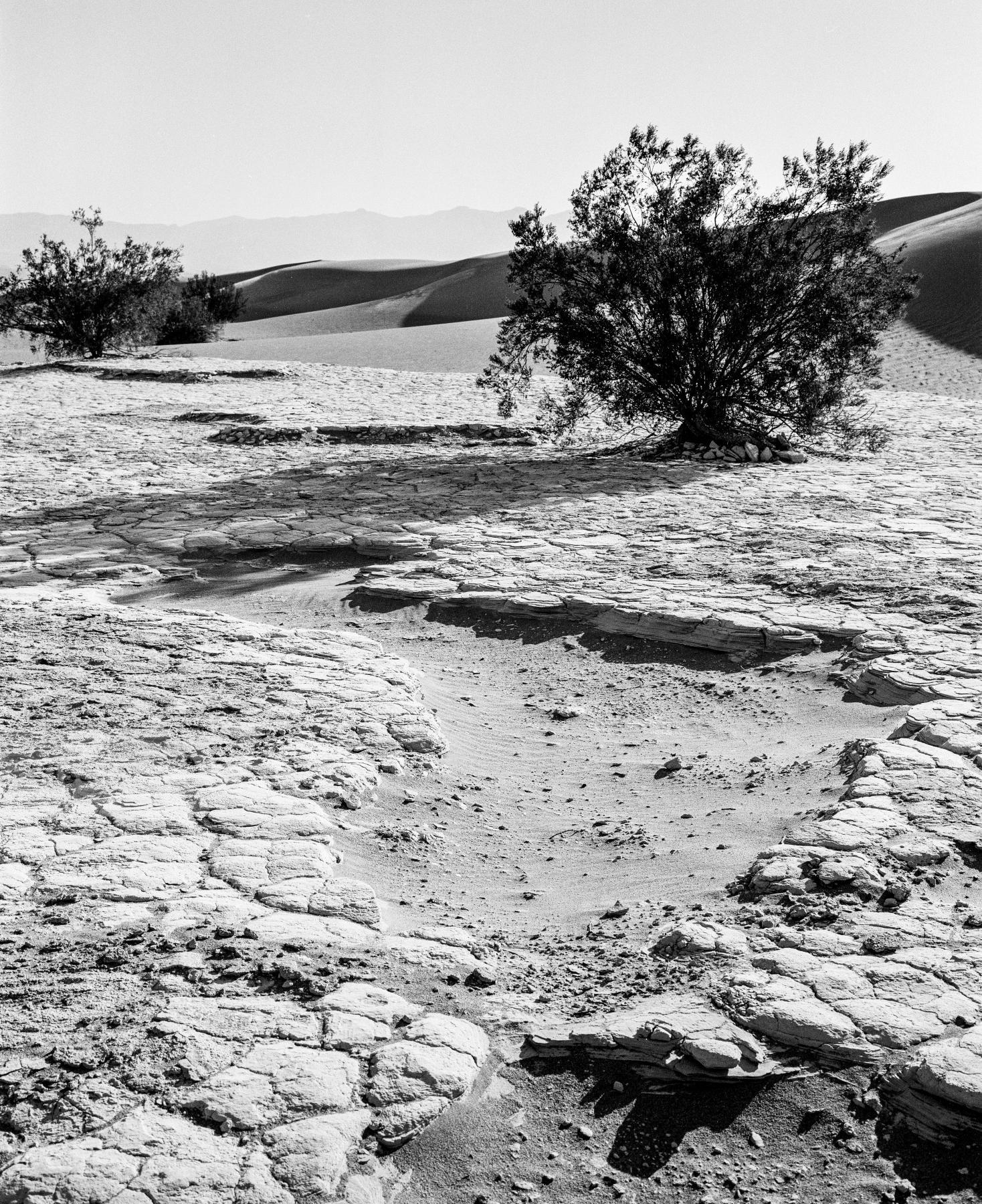 Purchase Landscapes 040919401 by Kenneth Nelson