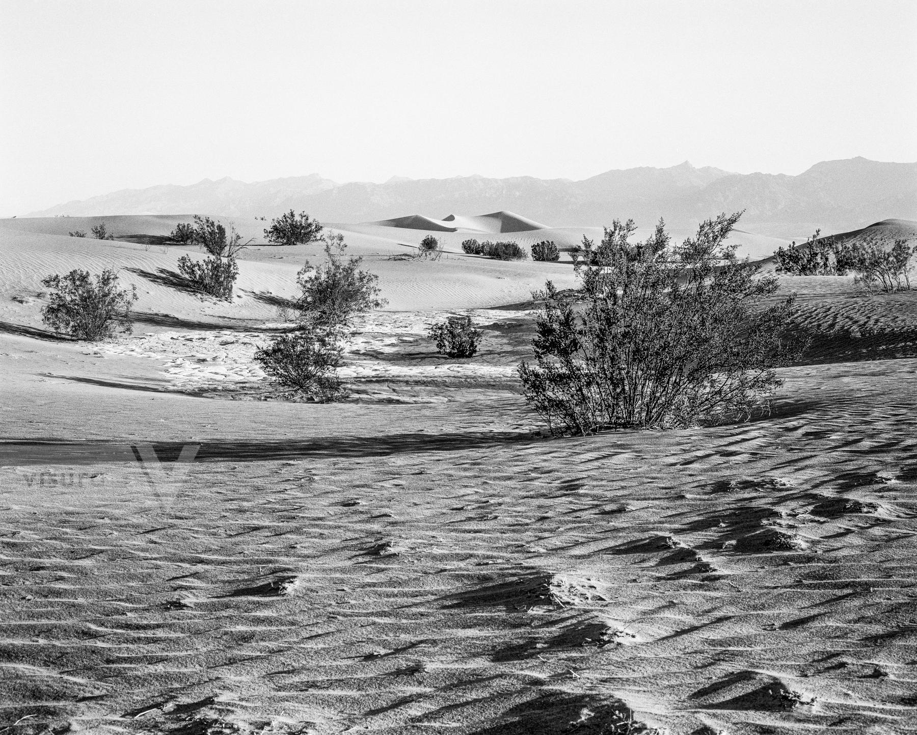 Purchase Landscapes 040919603 by Kenneth Nelson