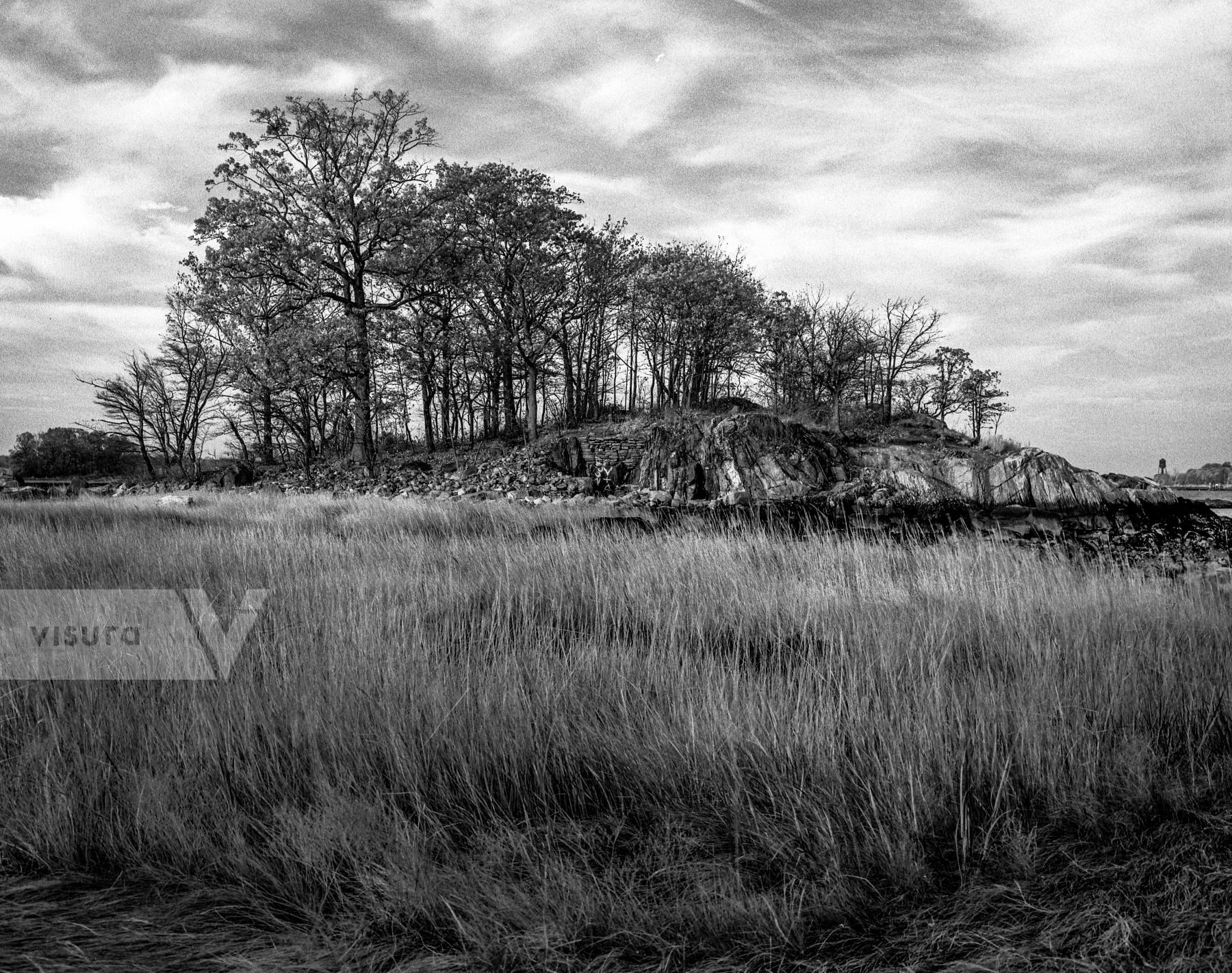 Purchase Two Trees 051113302 by Kenneth Nelson