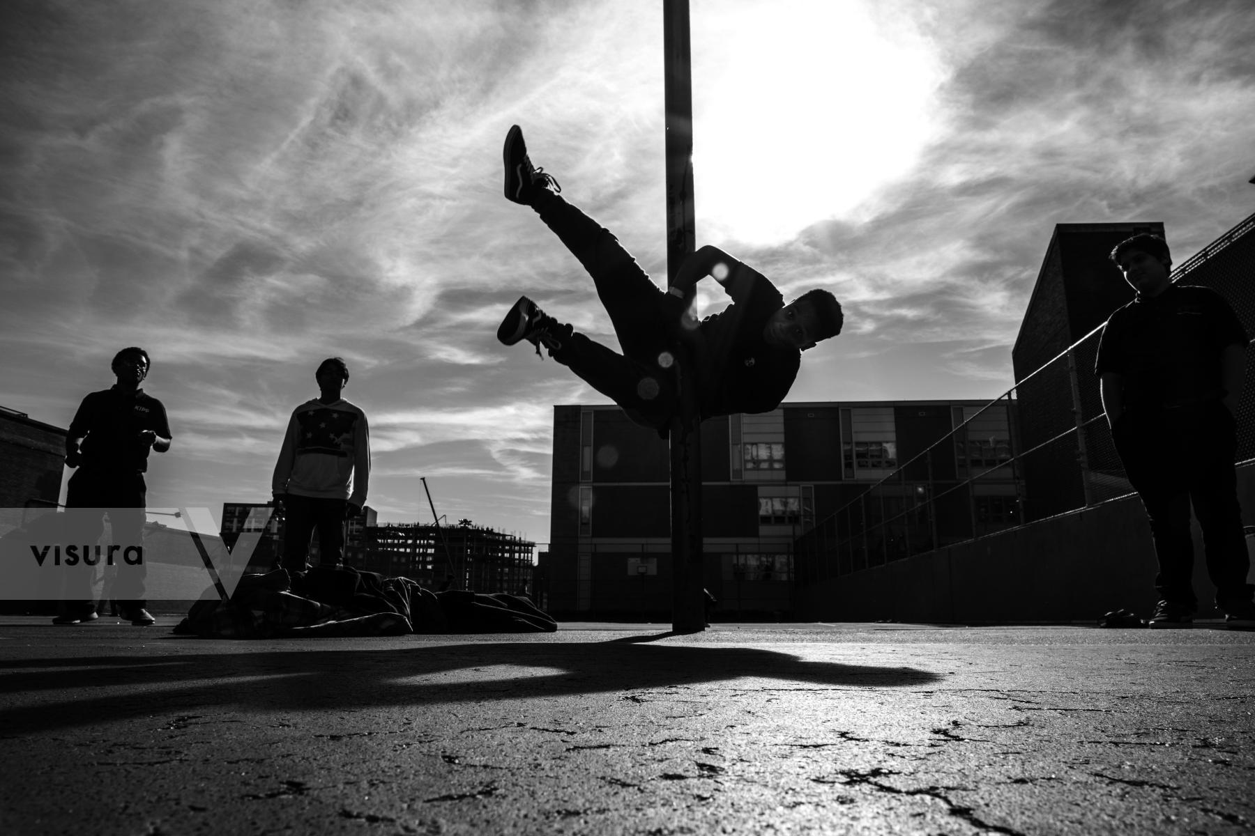 Purchase Recess by Emily Schiffer