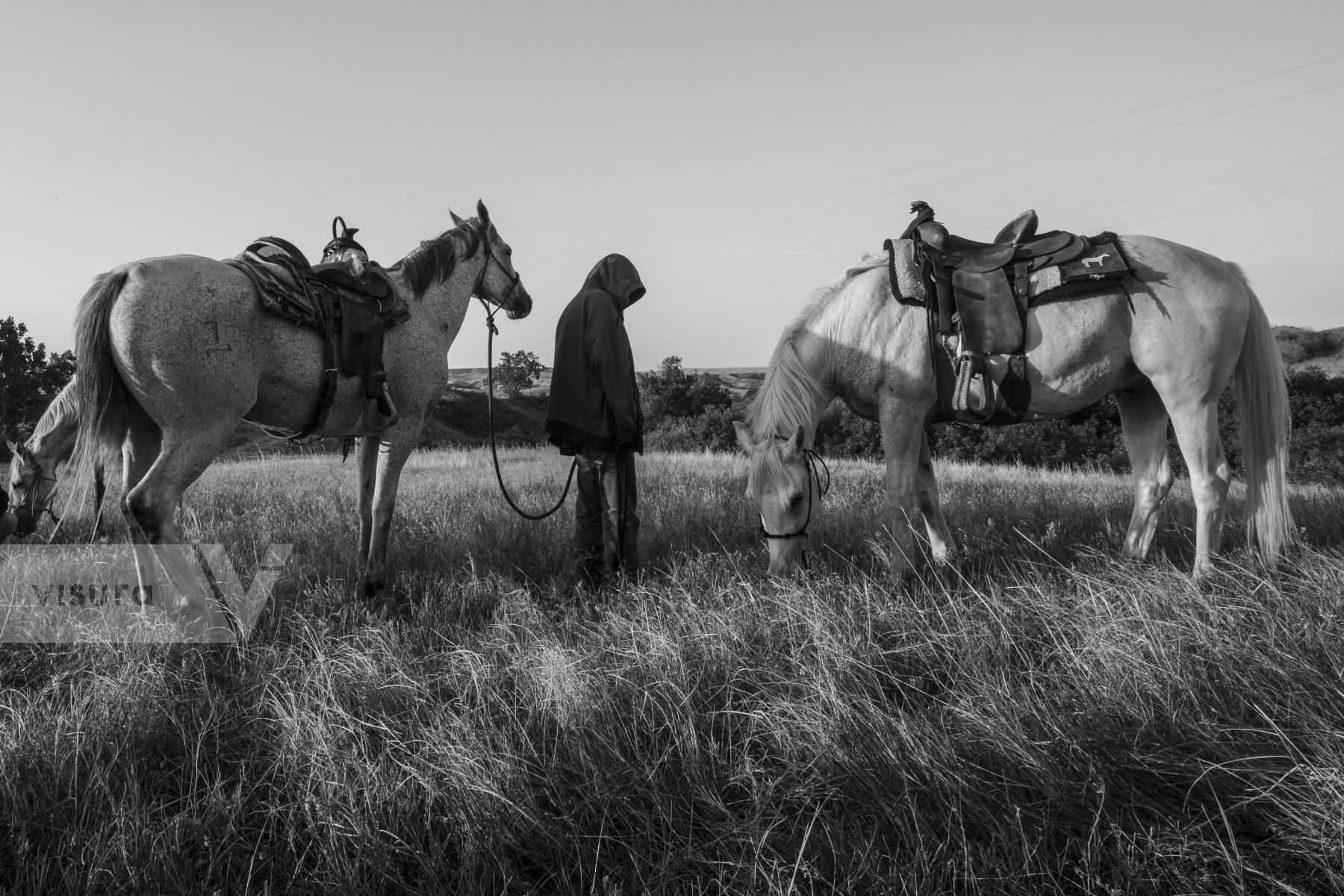 Purchase Grazing by Emily Schiffer