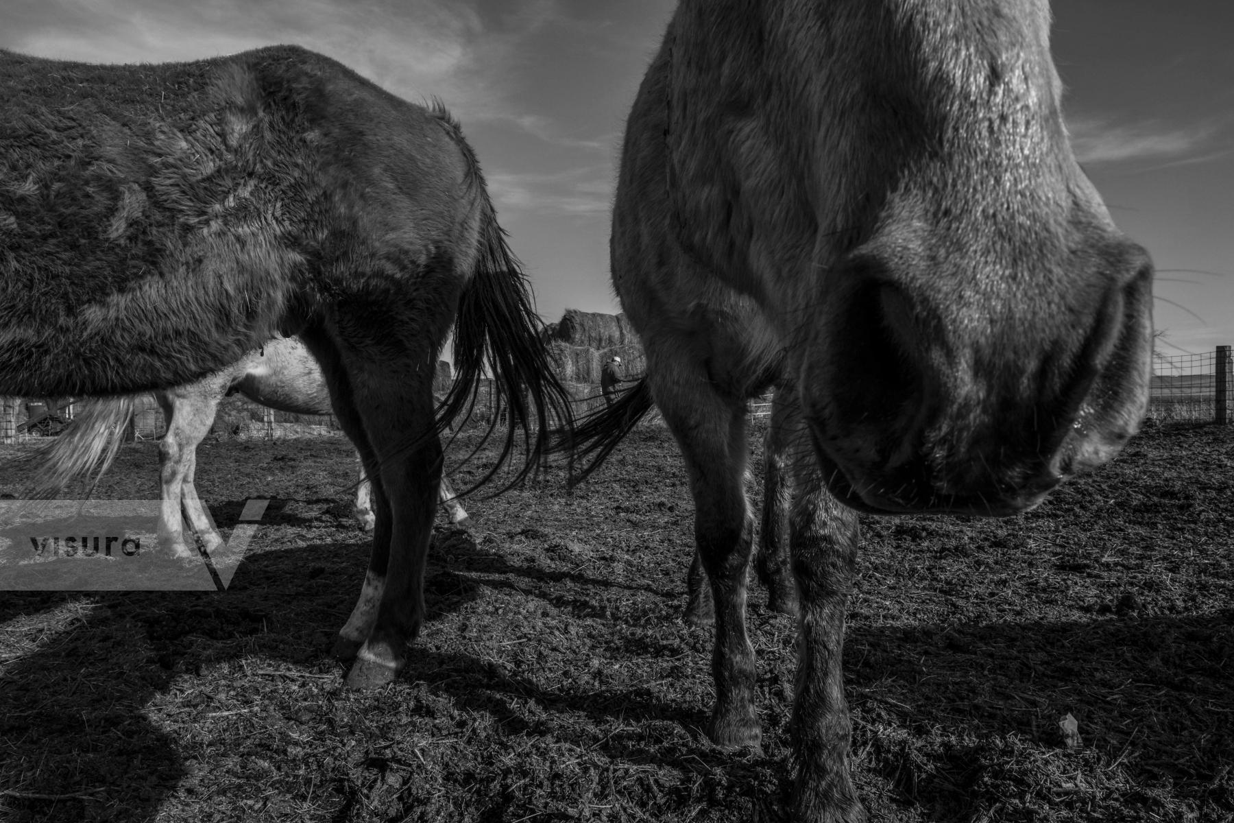 Purchase Untitled, September 2022 by Emily Schiffer