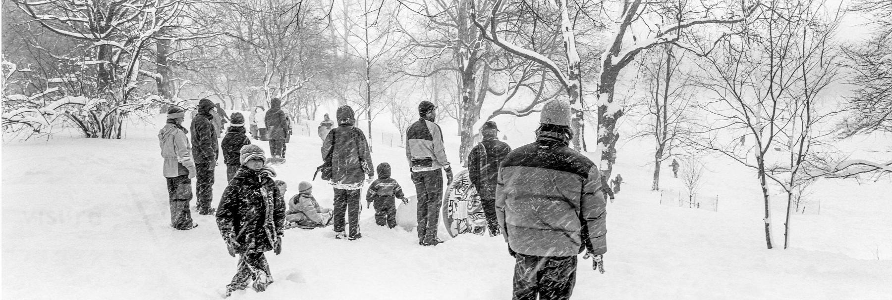 Purchase Snow Storm 060212101 by Kenneth Nelson