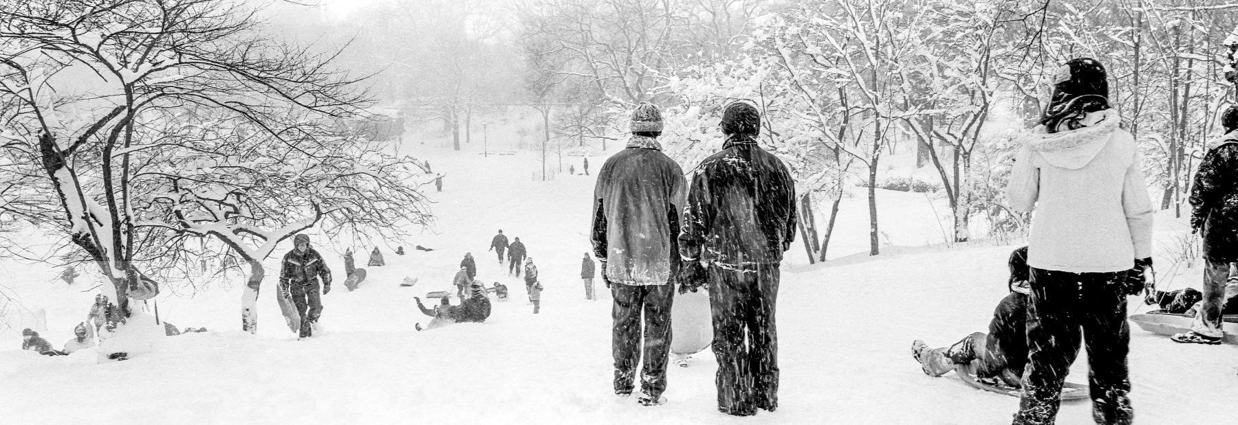 Purchase Snow Storm 060212102 by Kenneth Nelson