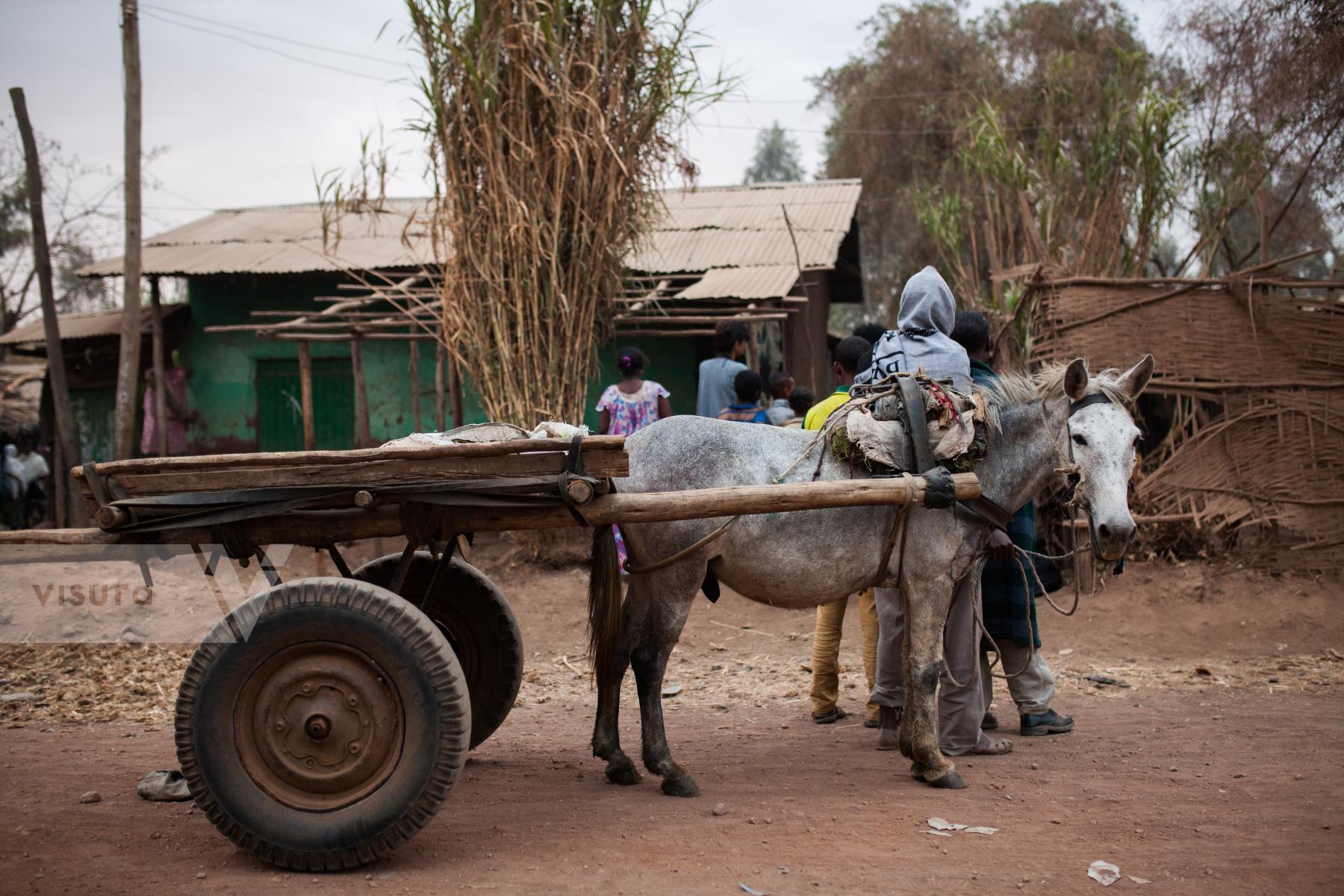 Purchase Transportation in Ethiopia by Victor Bezrukov