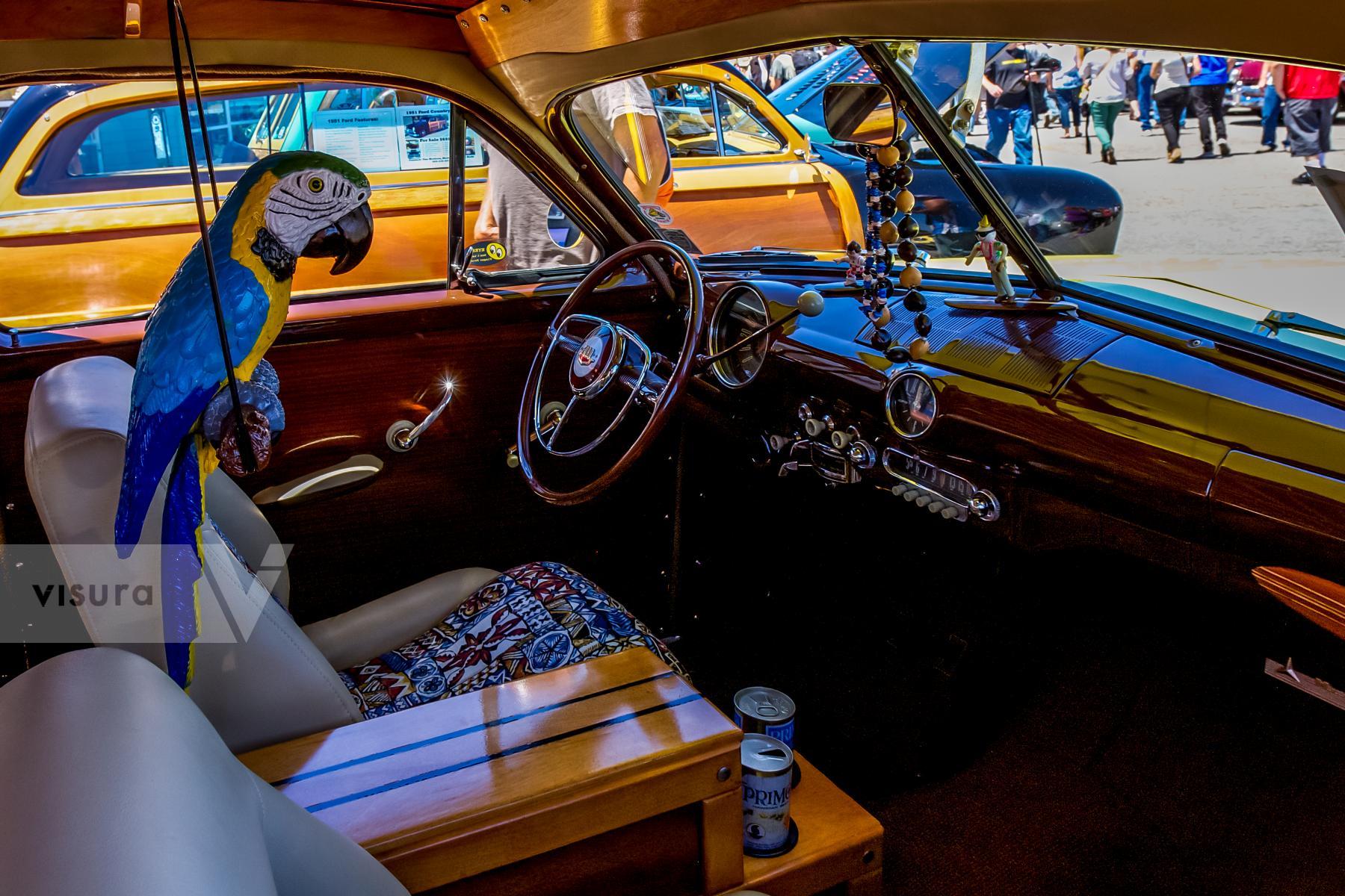 Purchase Parrot Interior of a Wood Car. by Jared Chandler