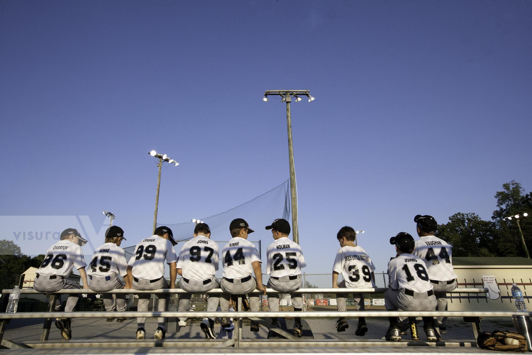 Purchase Little League team by Max Hirshfeld