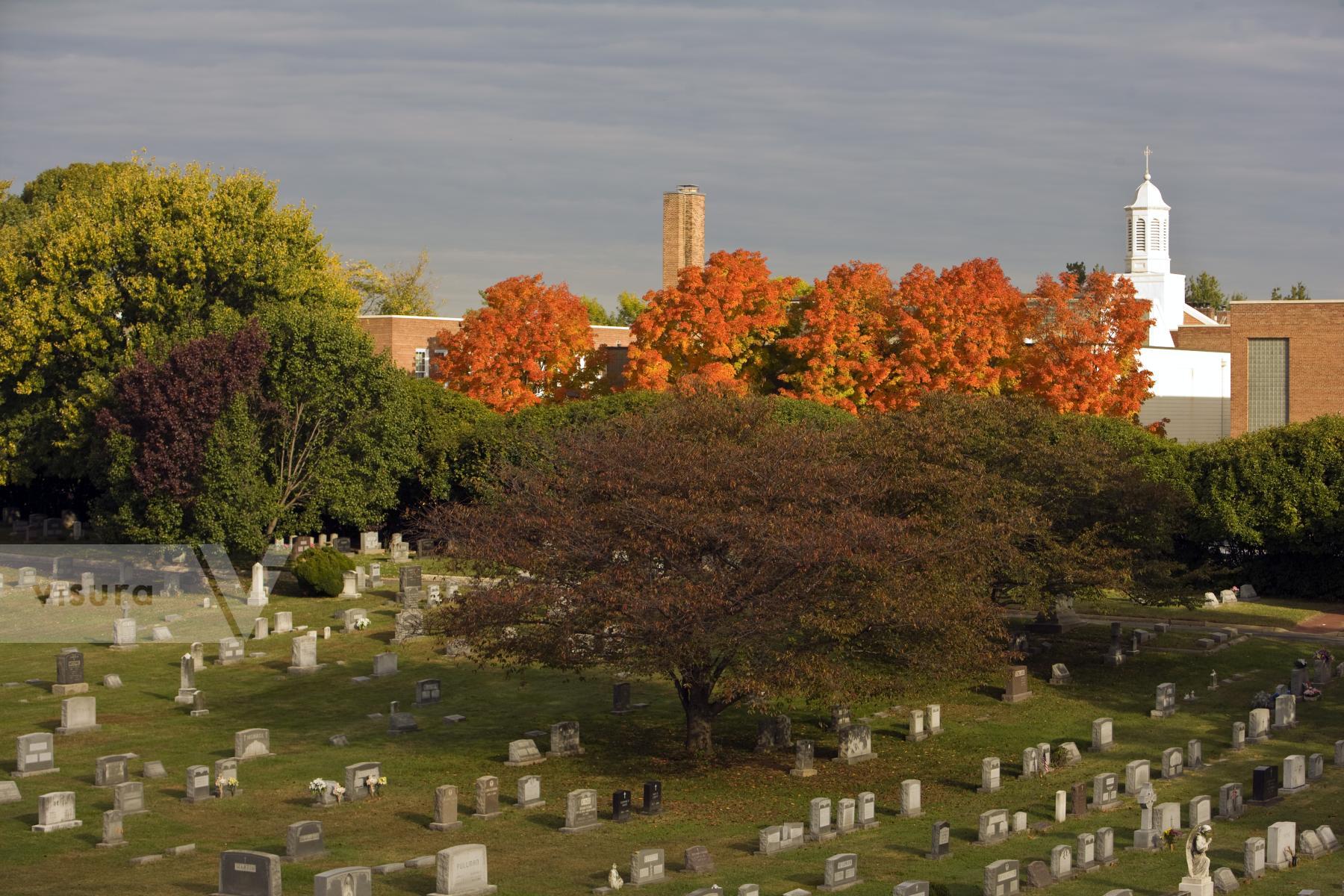 Purchase Cemetery, Alexandria VA by Max Hirshfeld