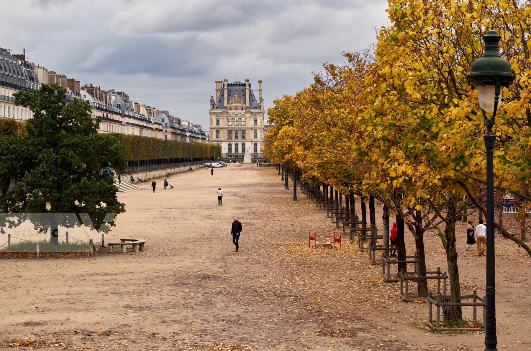 Purchase Autumn in Le Jardin des Tuileries in Paris by Remon Haazen